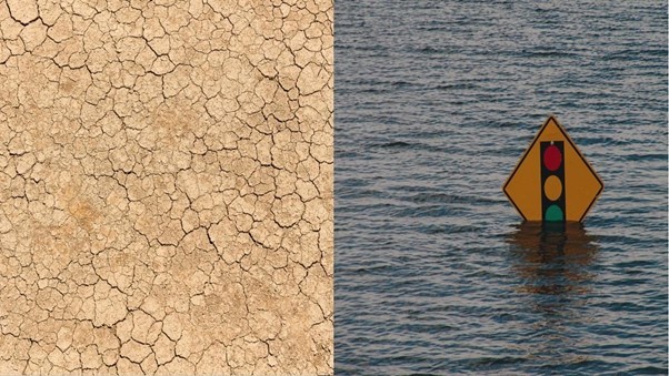 impacts of drought
