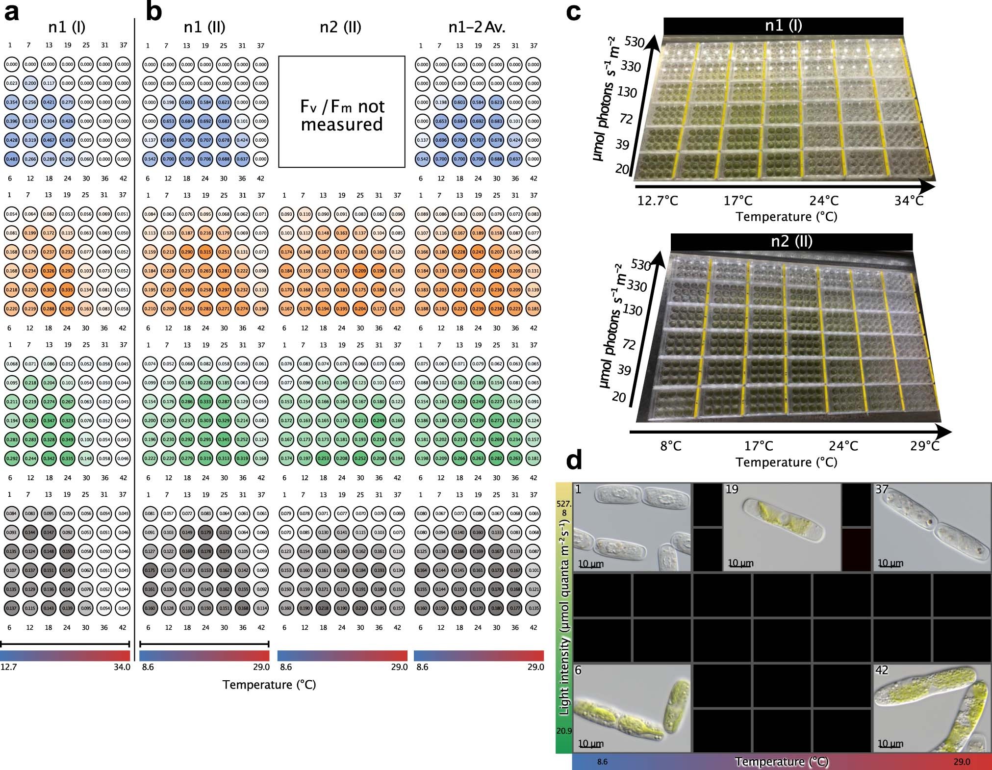 Extended Data Fig. 5: Pre-experimental setup II: Fv/Fm, absorption, and morphology.