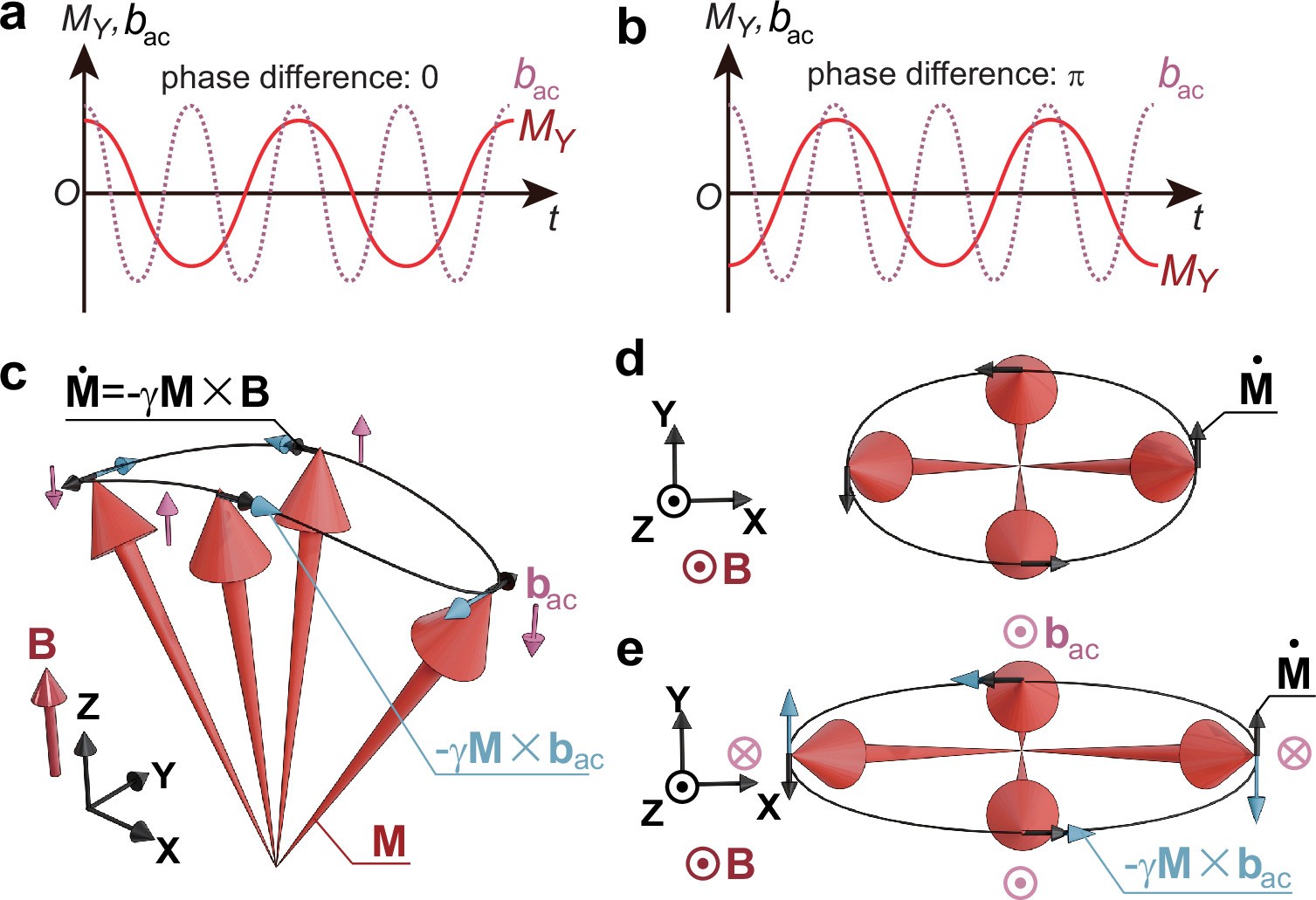 Extended Data Fig. 4: Schematics of magnetization dynamics under parametric pumping.