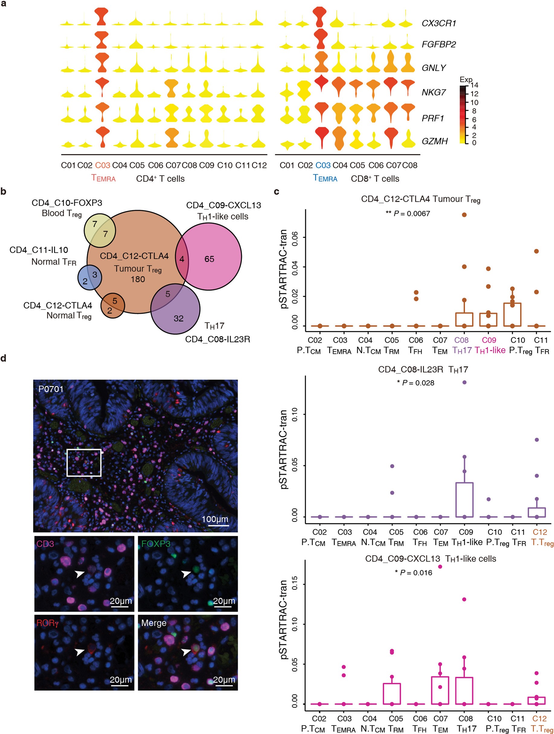 Extended Data Fig. 9: Characterization of CD4+ TEMRA and tumour Treg cells by STARTRAC analysis.