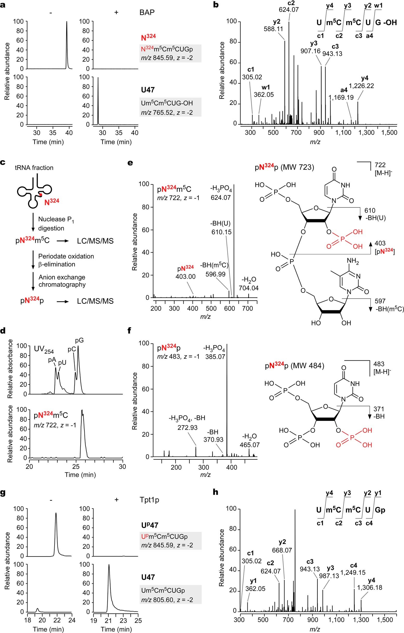 Extended Data Fig. 4: Chemical structure determination of N324.