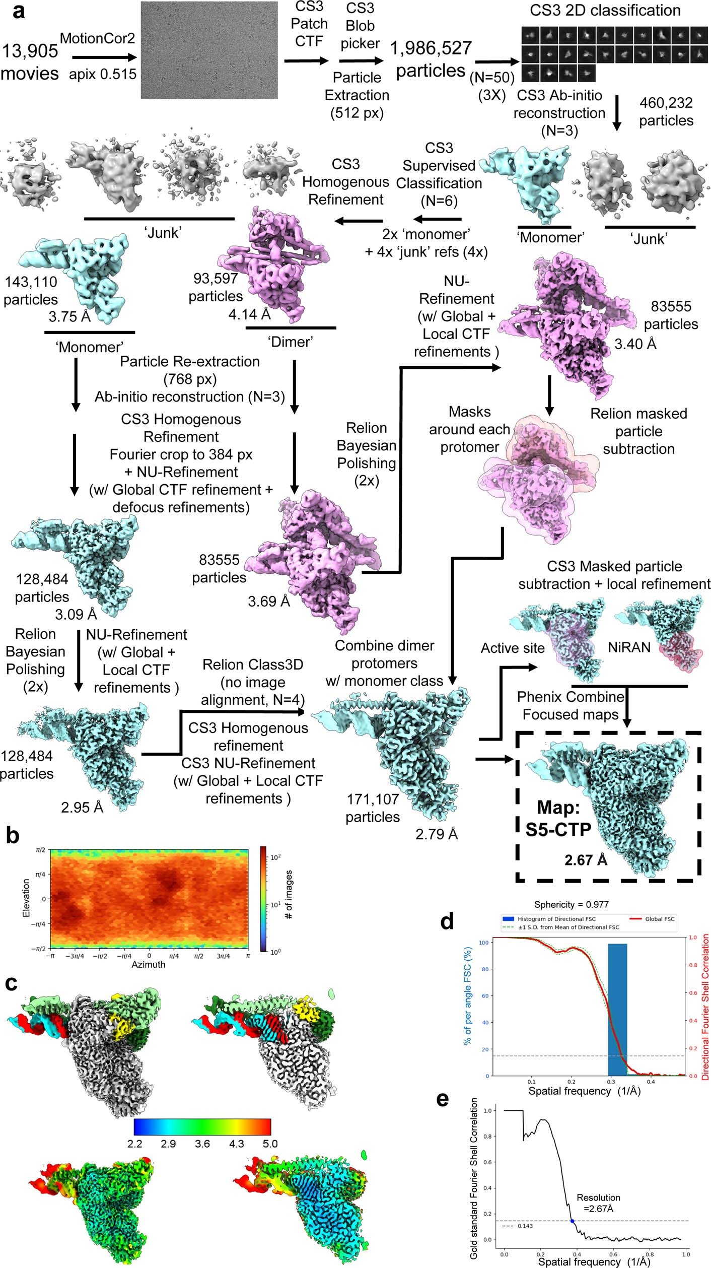 Extended Data Fig. 5: Cryo-EM processing pipeline and analysis for S5_CTP dataset.