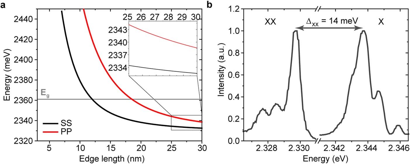 Extended Data Fig. 7: Excitonic optical transitions in CsPbBr3 QDs.
