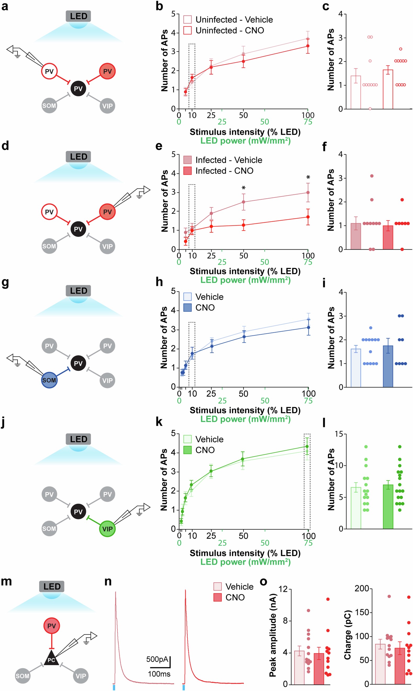 Extended Data Fig. 4: Excitability of channelrhodopsin-expressing interneurons following LED stimulation at different intensities.