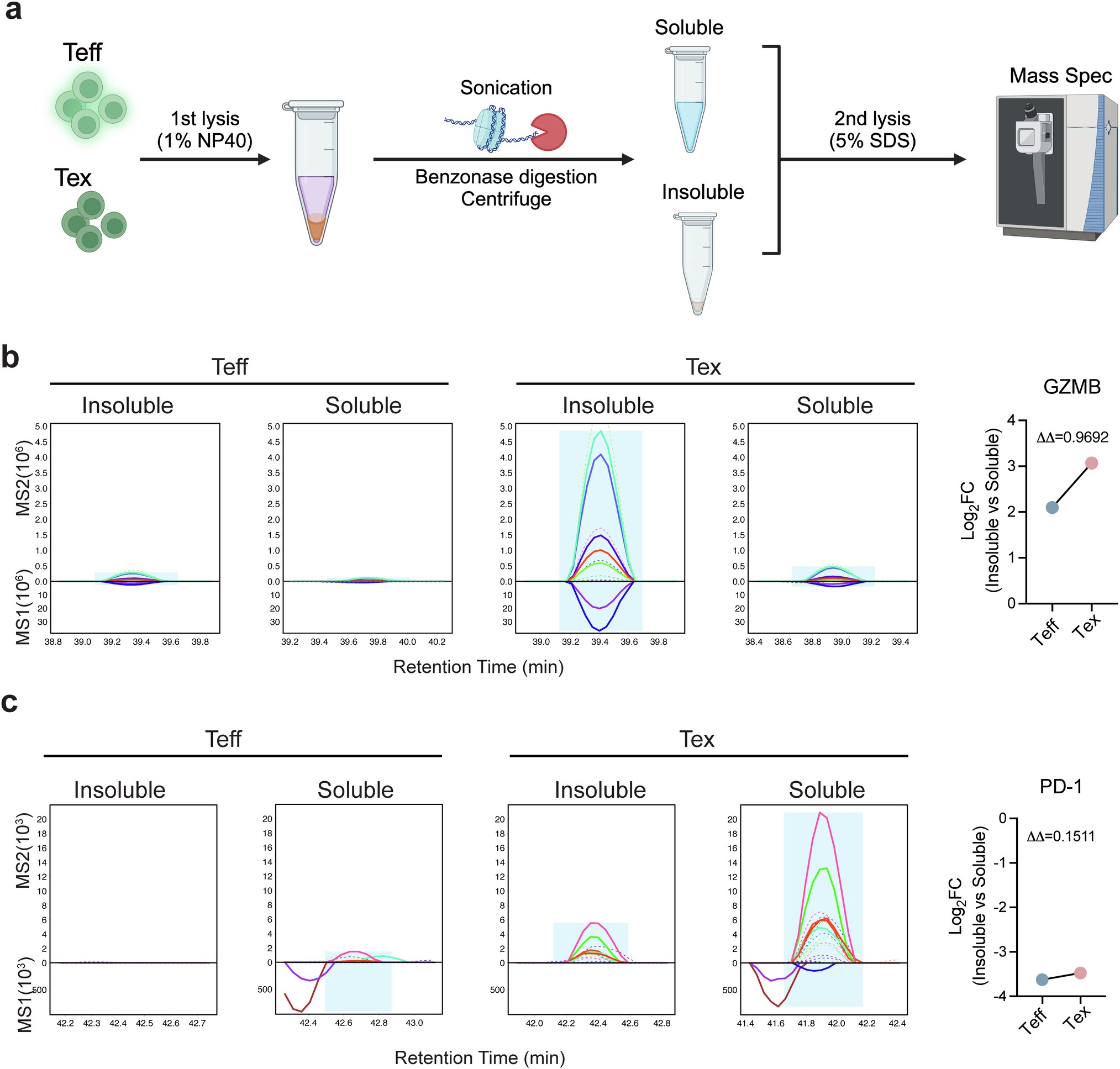 Extended Data Fig. 8: Effector molecule granzyme B but not inhibitory receptor PD-1 is enriched in insoluble aggregates of Tex cells.