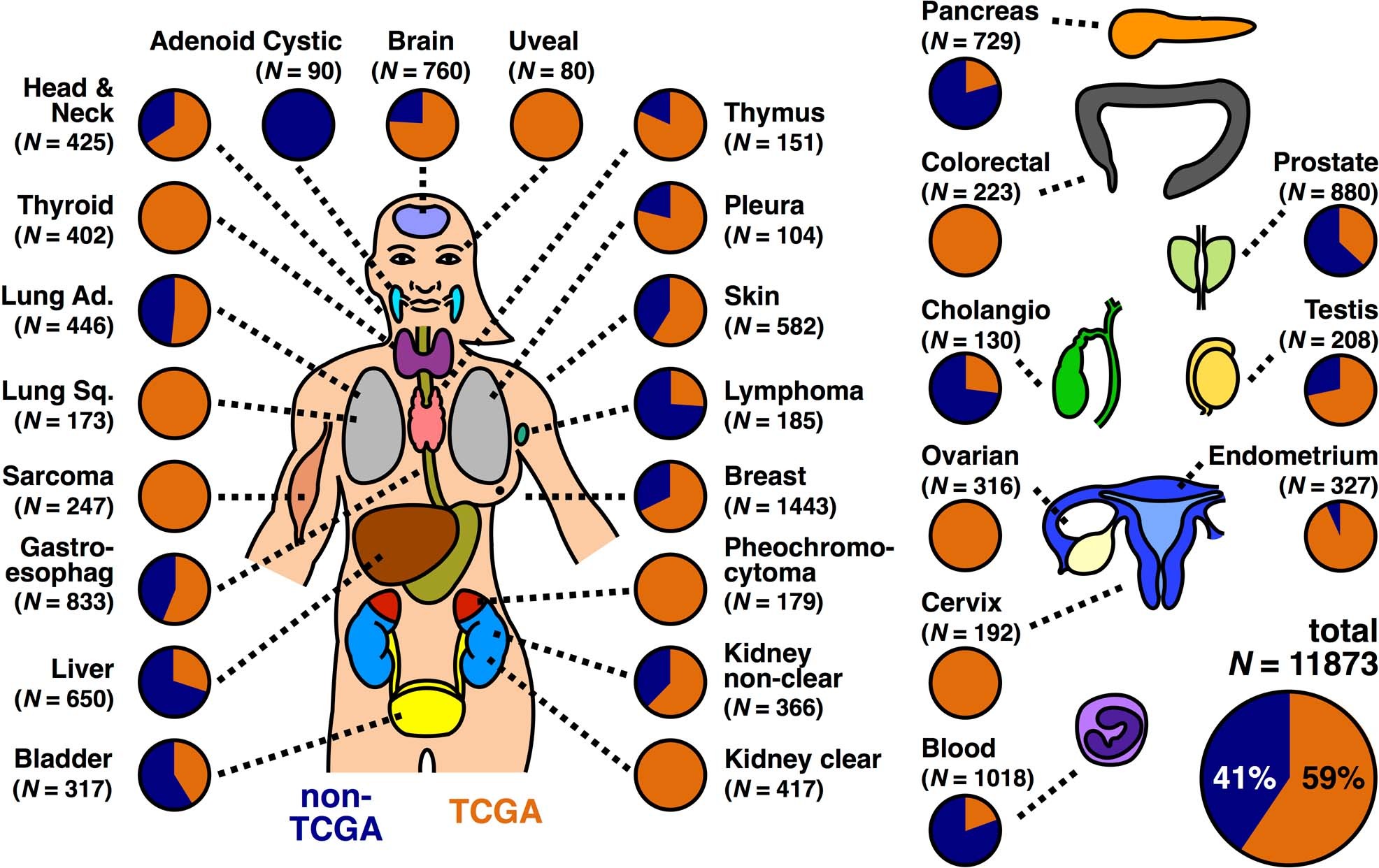 Extended Data Fig. 5: A large-scale cohort of whole-exome sequencing data to identify rare cancer genes.