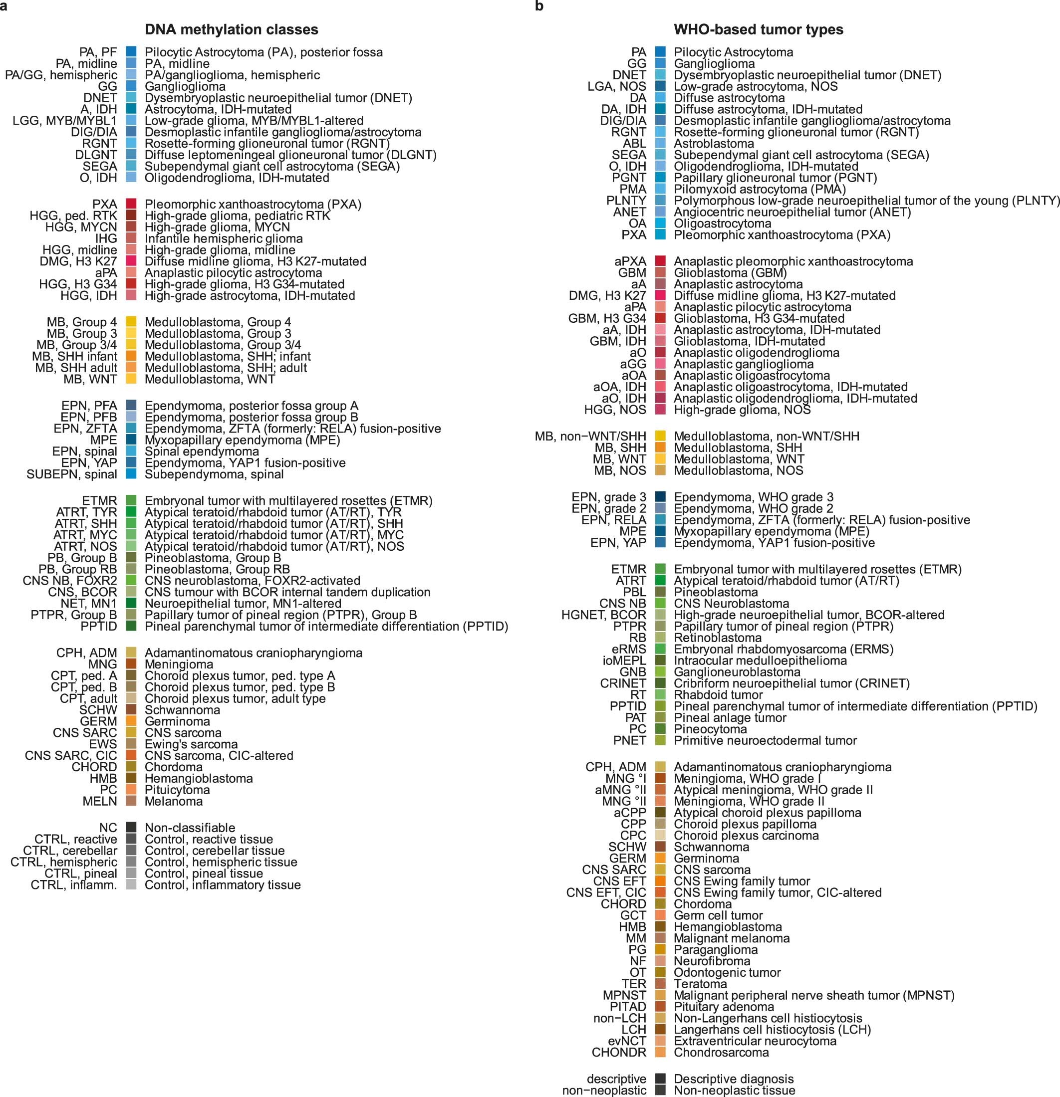 Extended Data Fig. 1: Tumor class and type color legend and abbreviations.