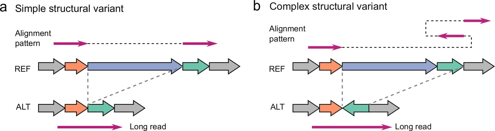 Extended Data Fig. 1: Diagram of example simple and complex structural variants and their aberrant alignment patterns.