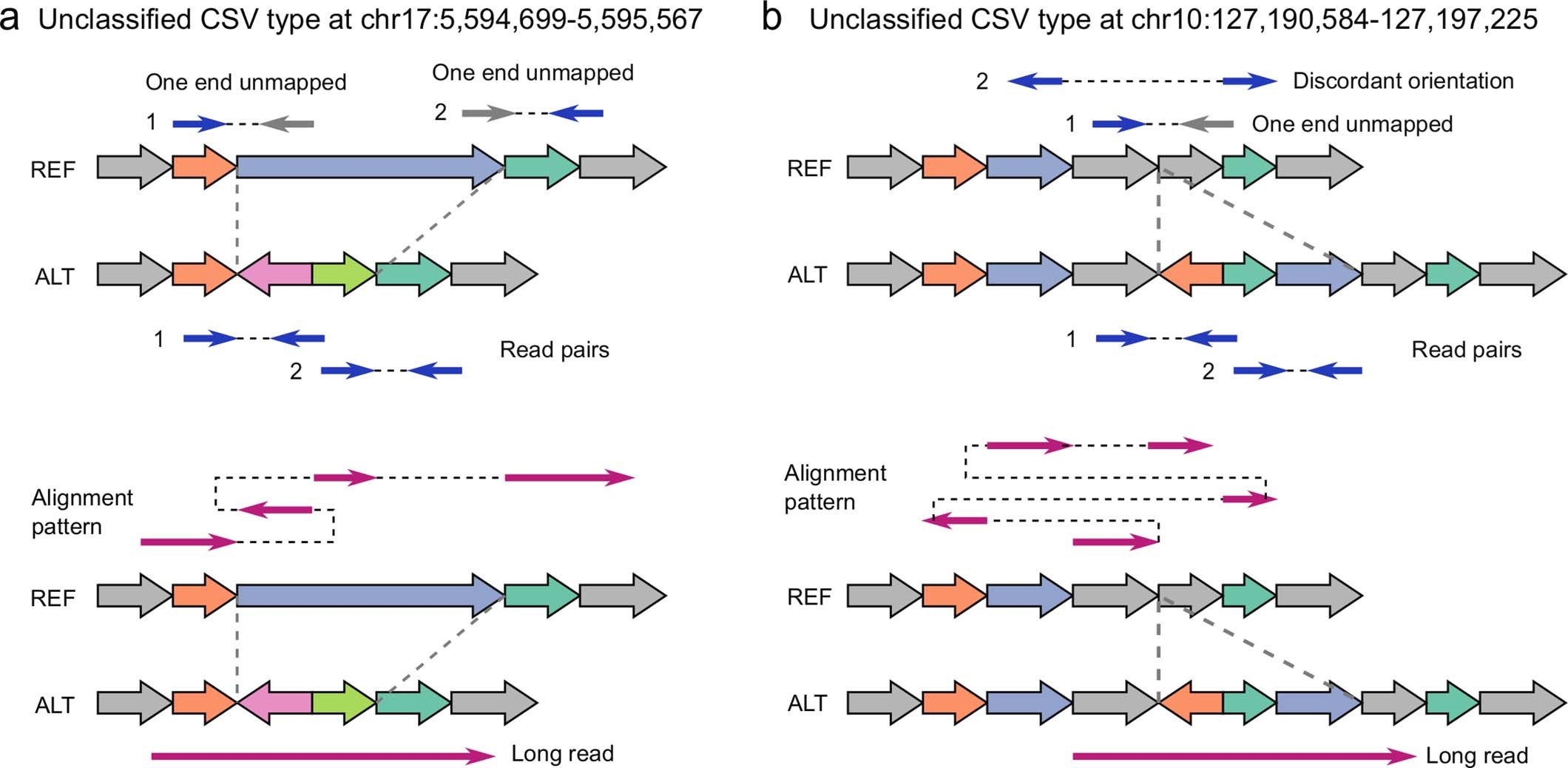 Extended Data Fig. 4: The diagrams and alignment patterns of two unclassified complex structural variants.