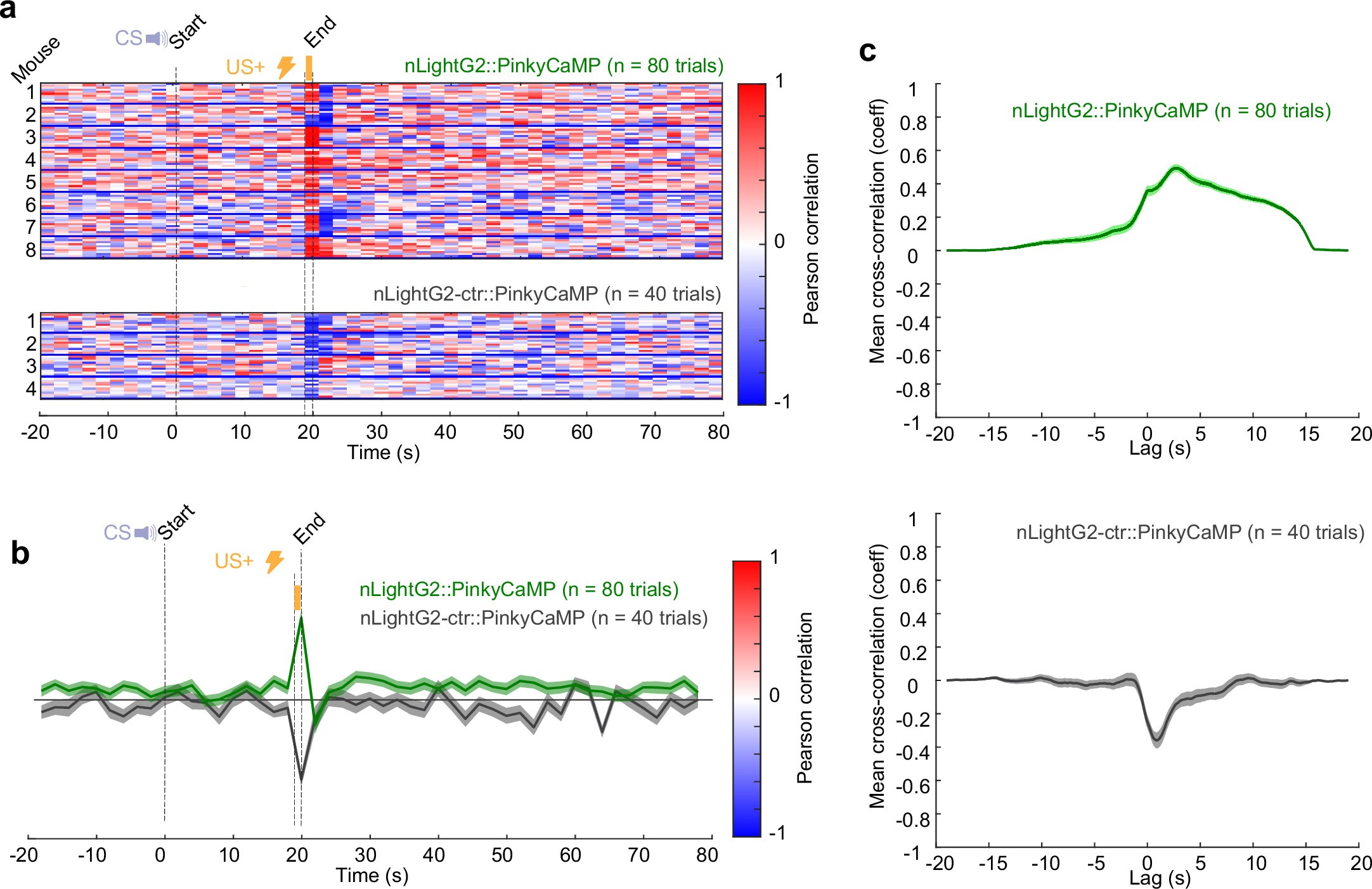 Extended Data Fig. 6: Trial-by-trial characterization of Ca2+ and NE activity in the aBLA during cued-fear conditioning.