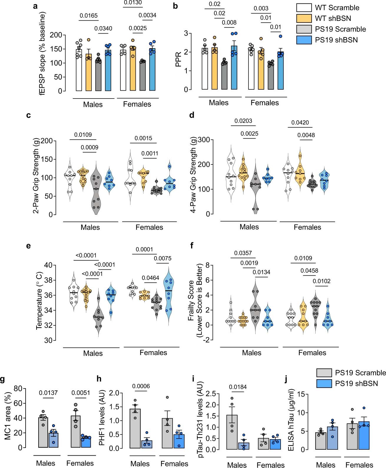 Extended Data Fig. 9: Bassoon downregulation improves behavioral and electrophysiological impairments in PS19 males and females.