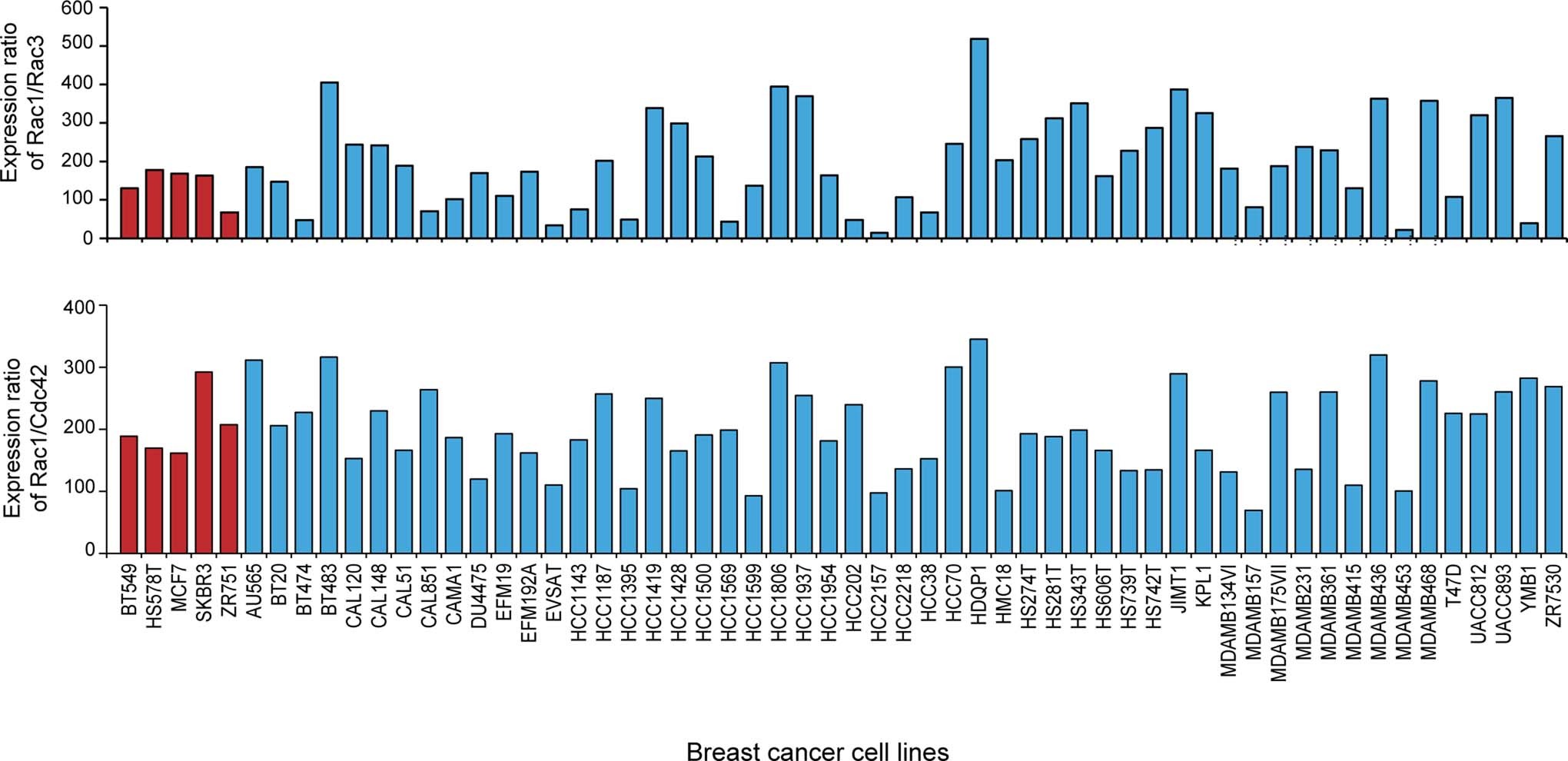 Extended Data Fig. 6: The relative expression levels of Rac1, Rac3 and Cdc42 in breast cancer cells.