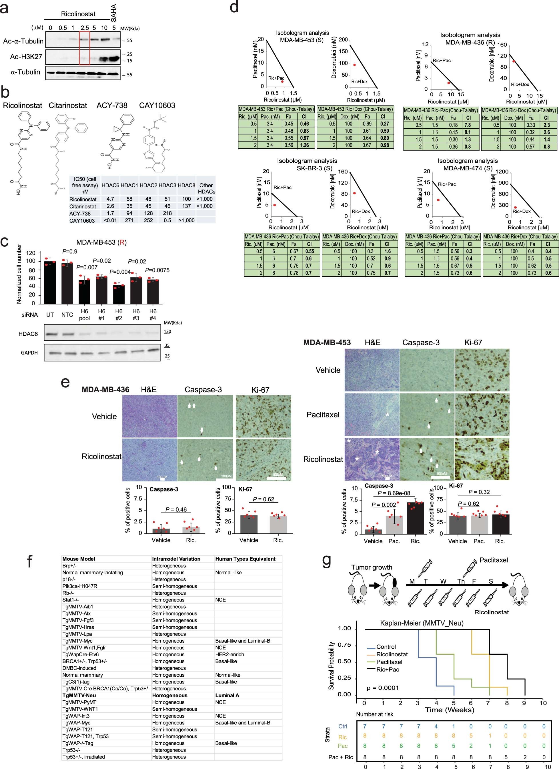 Extended Data Fig. 2: Anticancer activity of HDAC6 inhibitors.