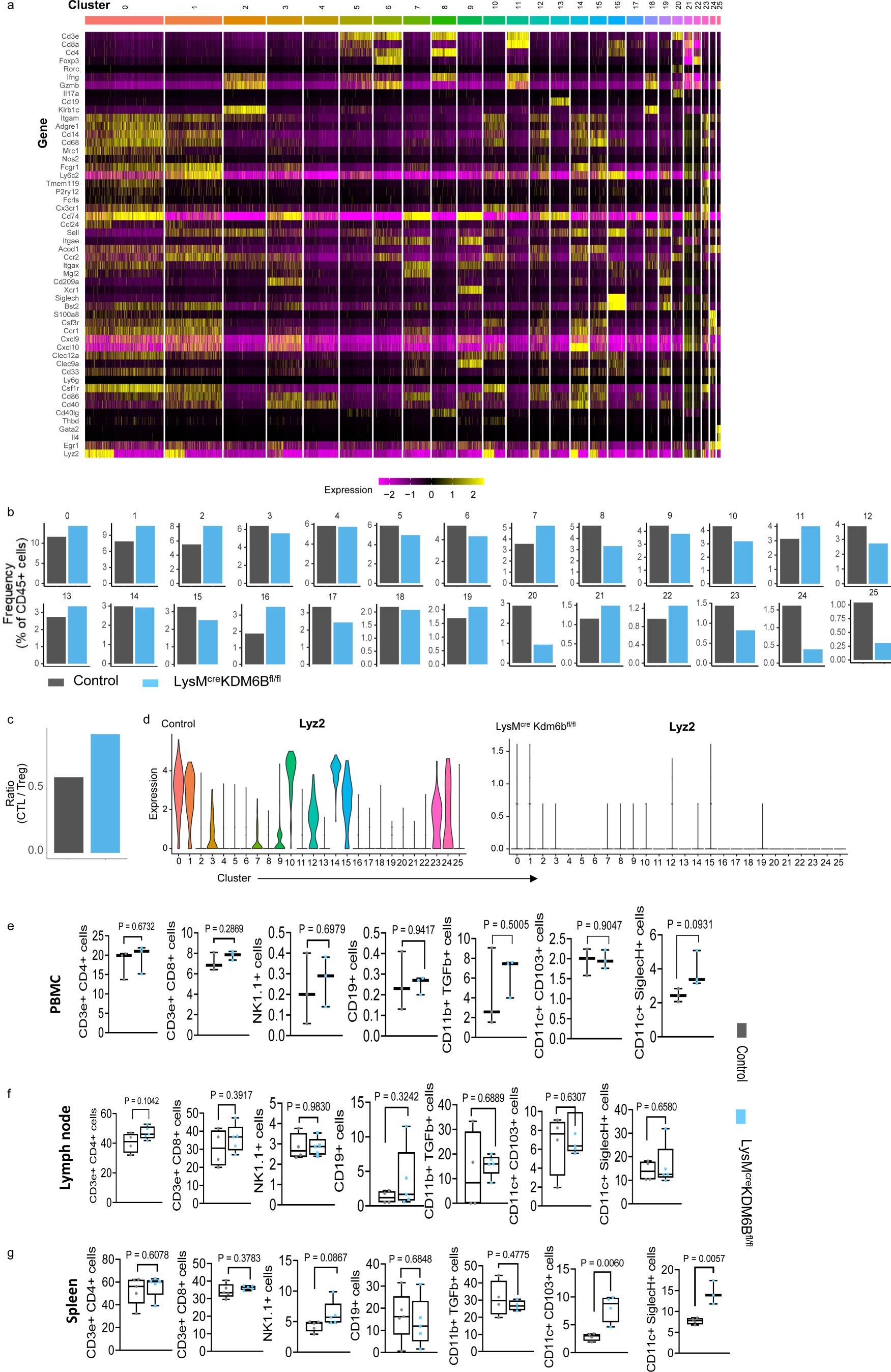 Extended Data Fig. 5: Myeloid specific deletion of Kdm6b alters the abundance of intratumoral immune cells.