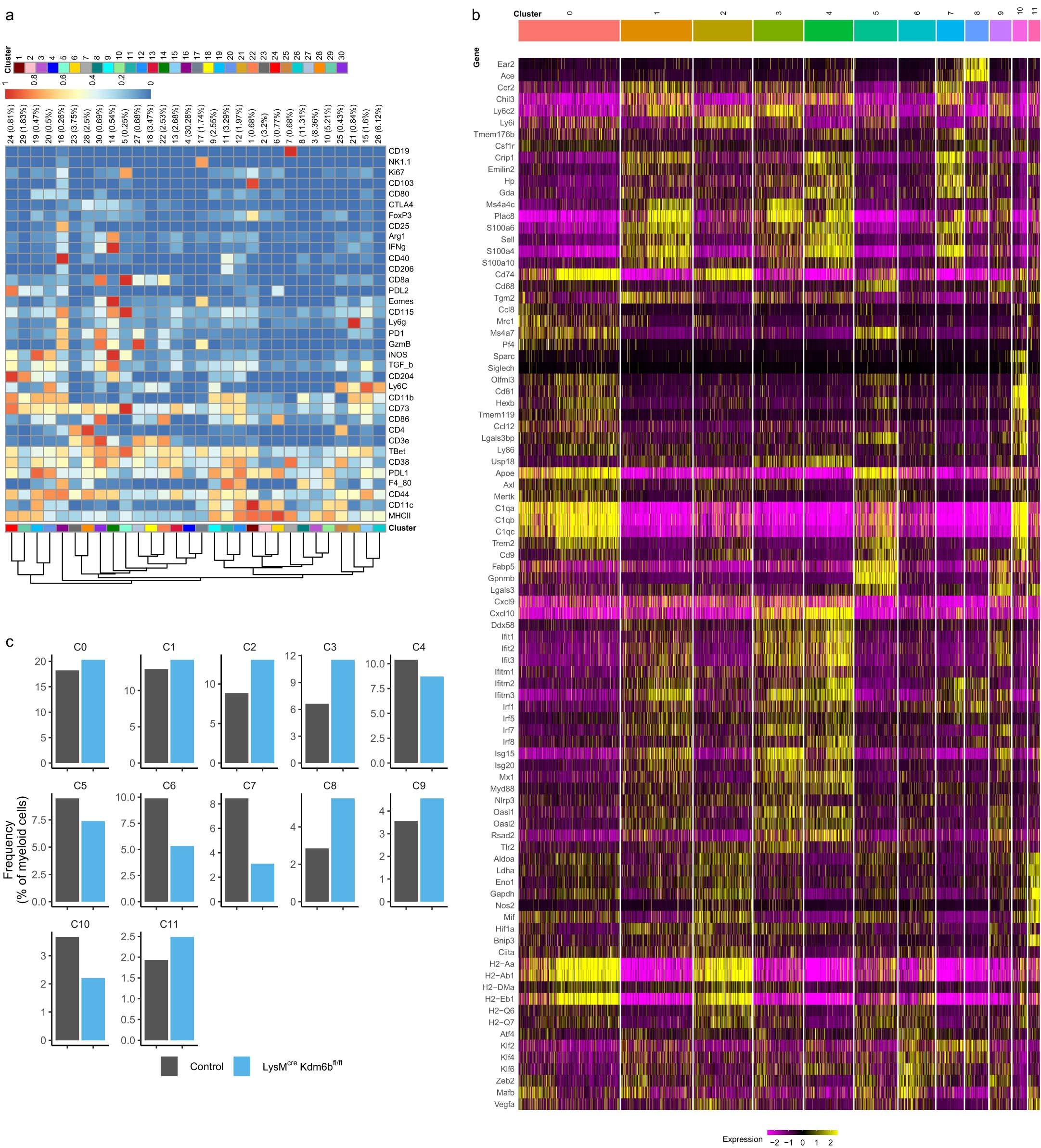 Extended Data Fig. 6: Myeloid specific deletion of Kdm6b skews TME to a pro-inflammatory phenotype.