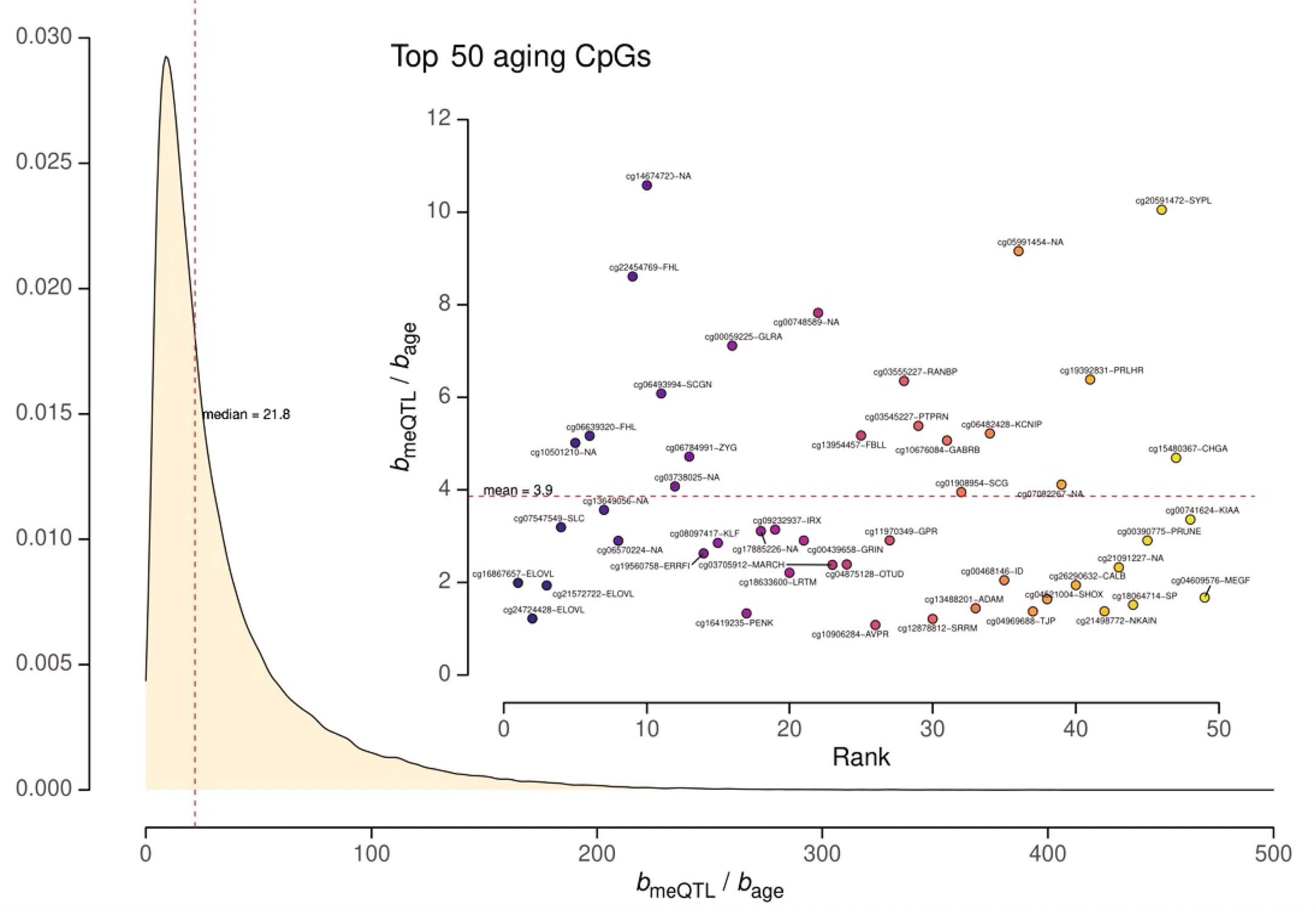 Extended Data Fig. 6: Distribution of the effect ratio of strongest meQTL and age (per year).