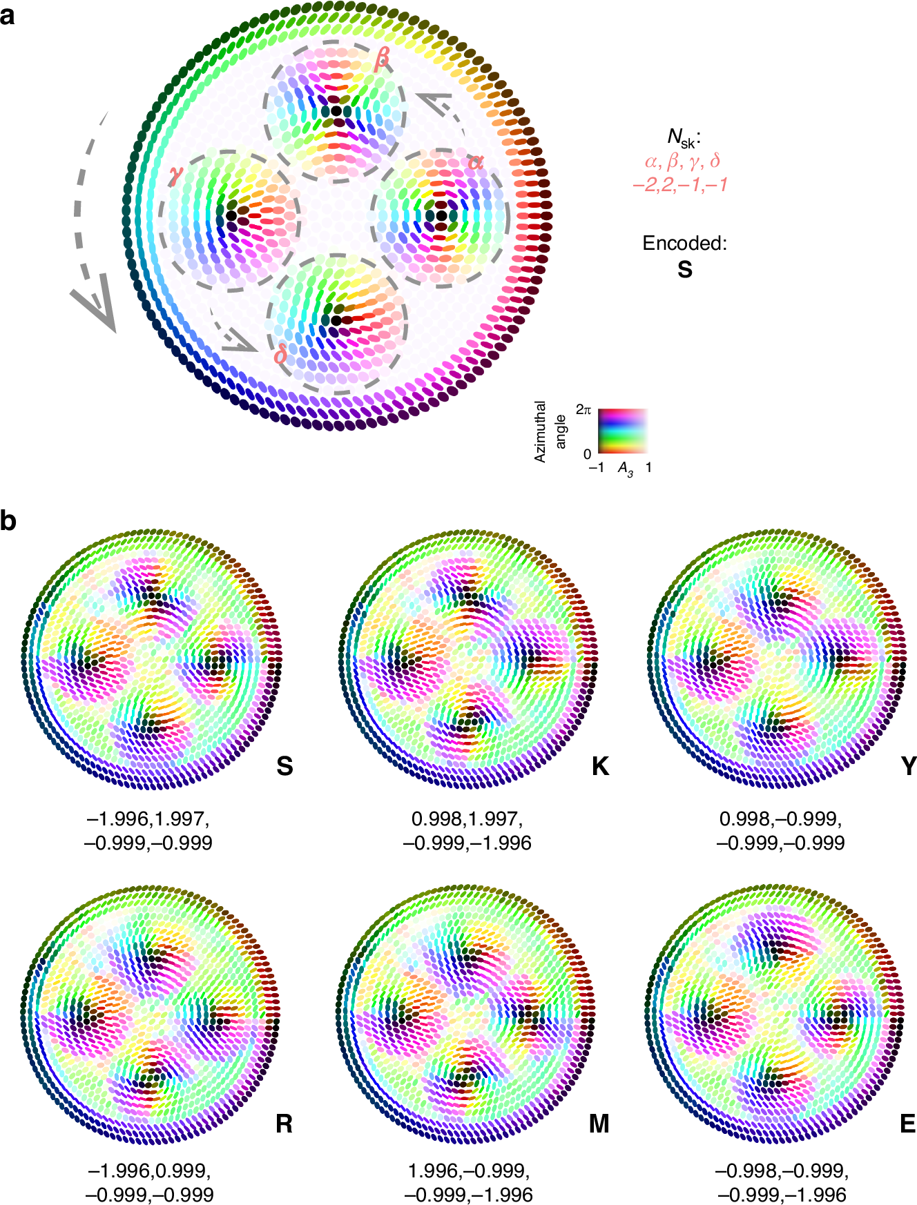 Fig. 4: AGB skyrmion bags for topological information encoding.