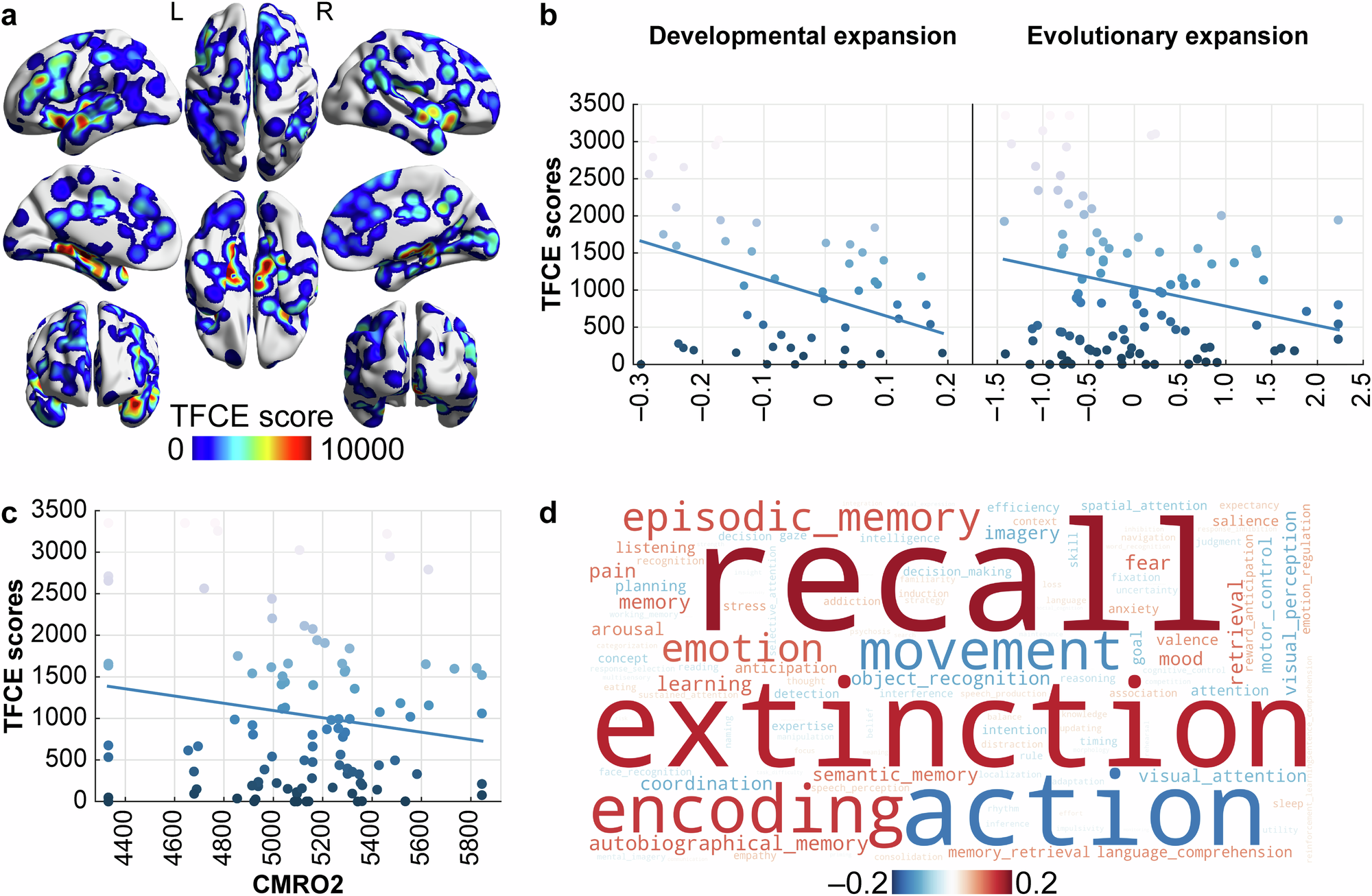 Fig. 3: Relationship of altered brain activity in panic disorder with brain expansion, brain metabolism, and behavior.