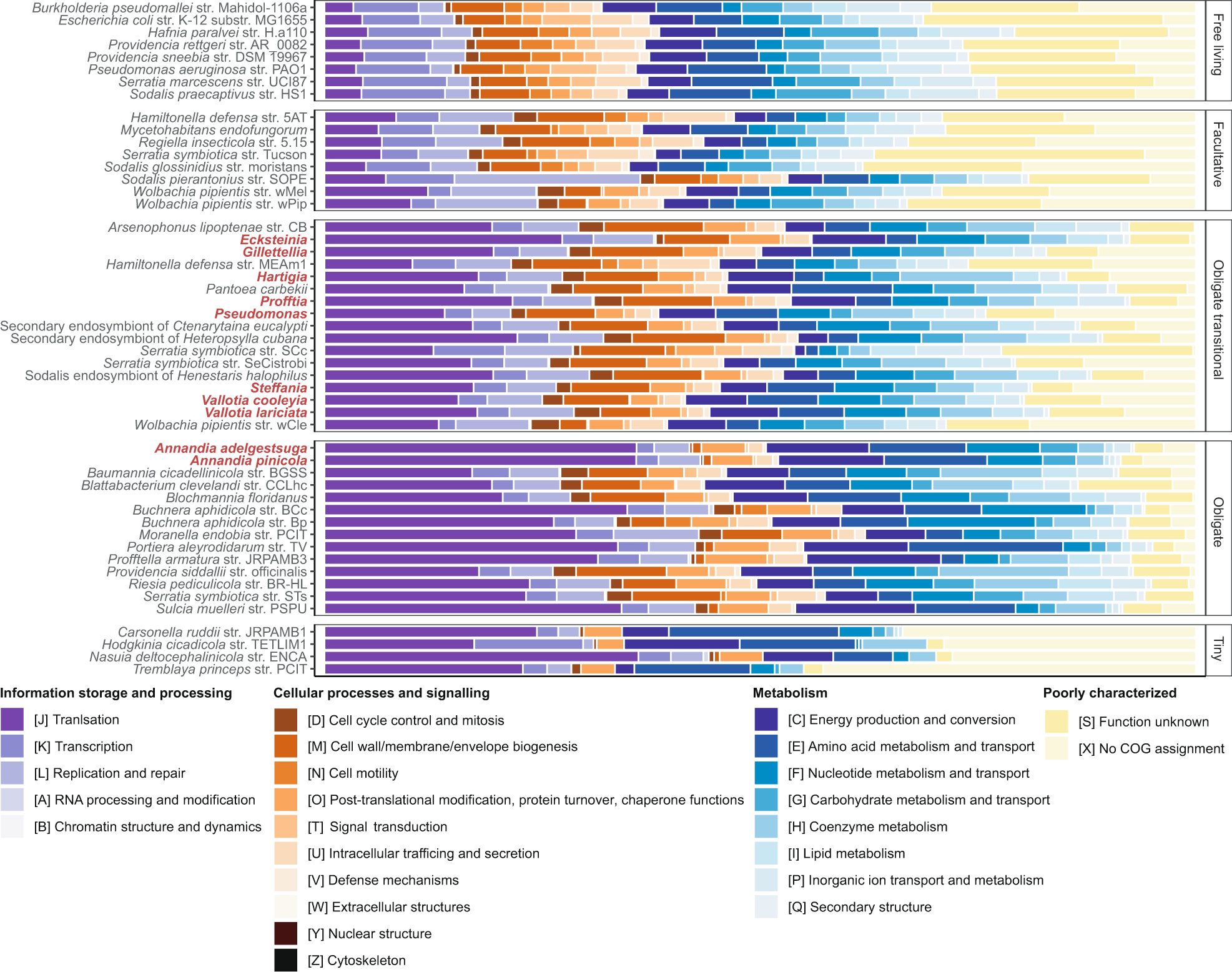 Fig. 6: Classification of protein-coding sequences into general COG functional categories. Uncategorized sequences were assigned to a custom category X.