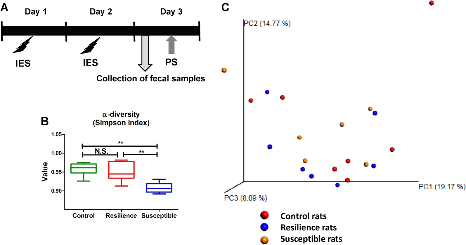 Fig. 1: Experimental schedule of LH paradigm and profiles of gut microbiota.