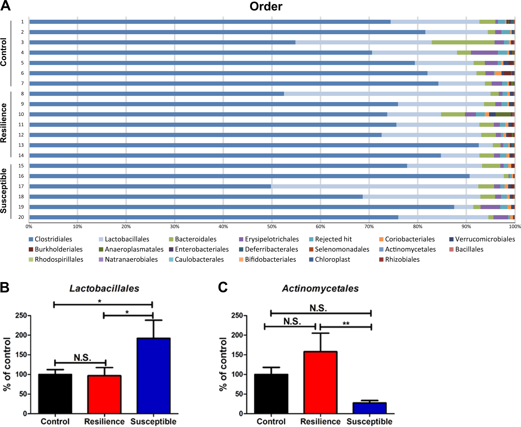Fig. 2: Changes in the composition of gut microbiota at the order level.