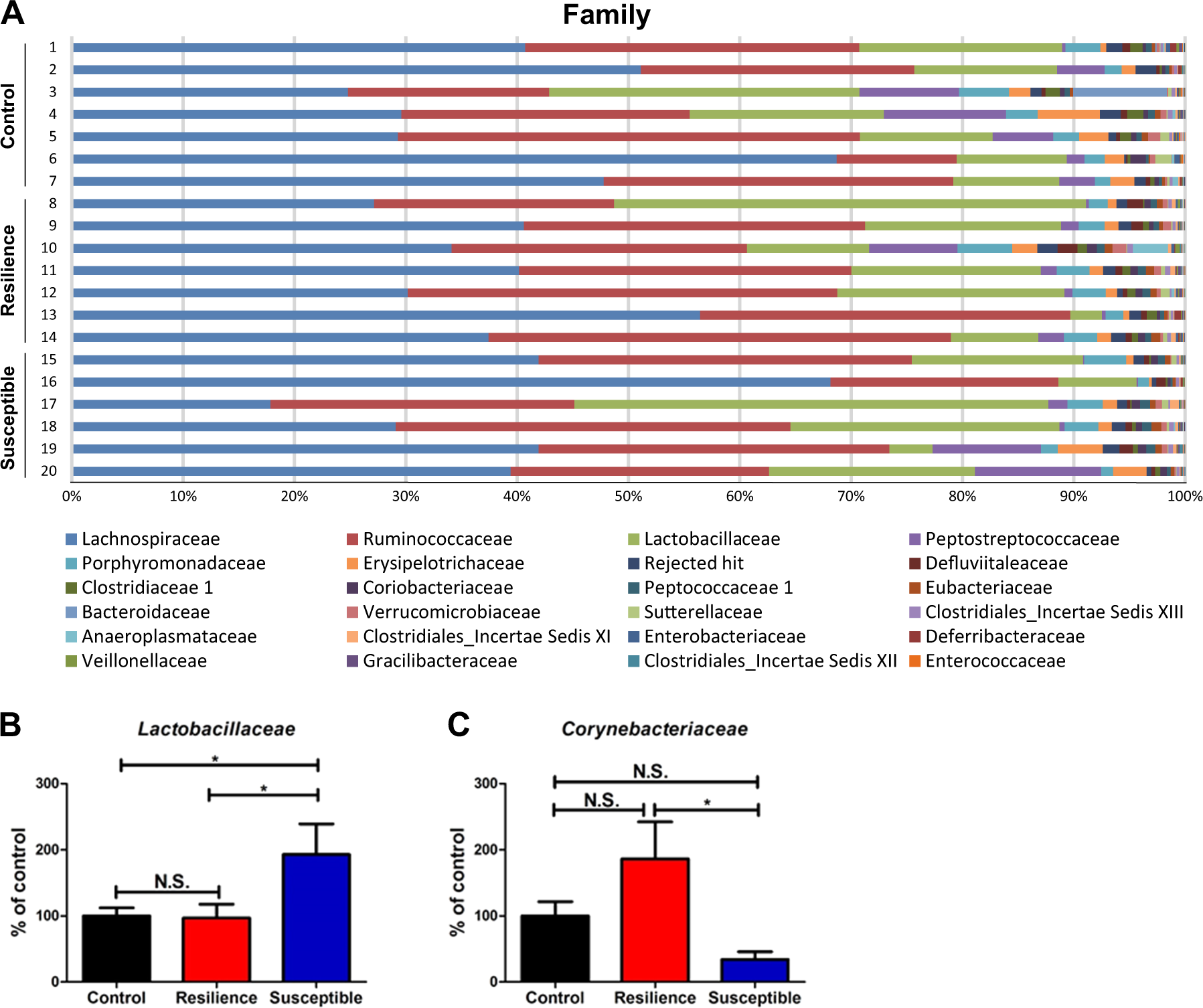 Fig. 3: Changes in the composition of gut microbiota at the family level.