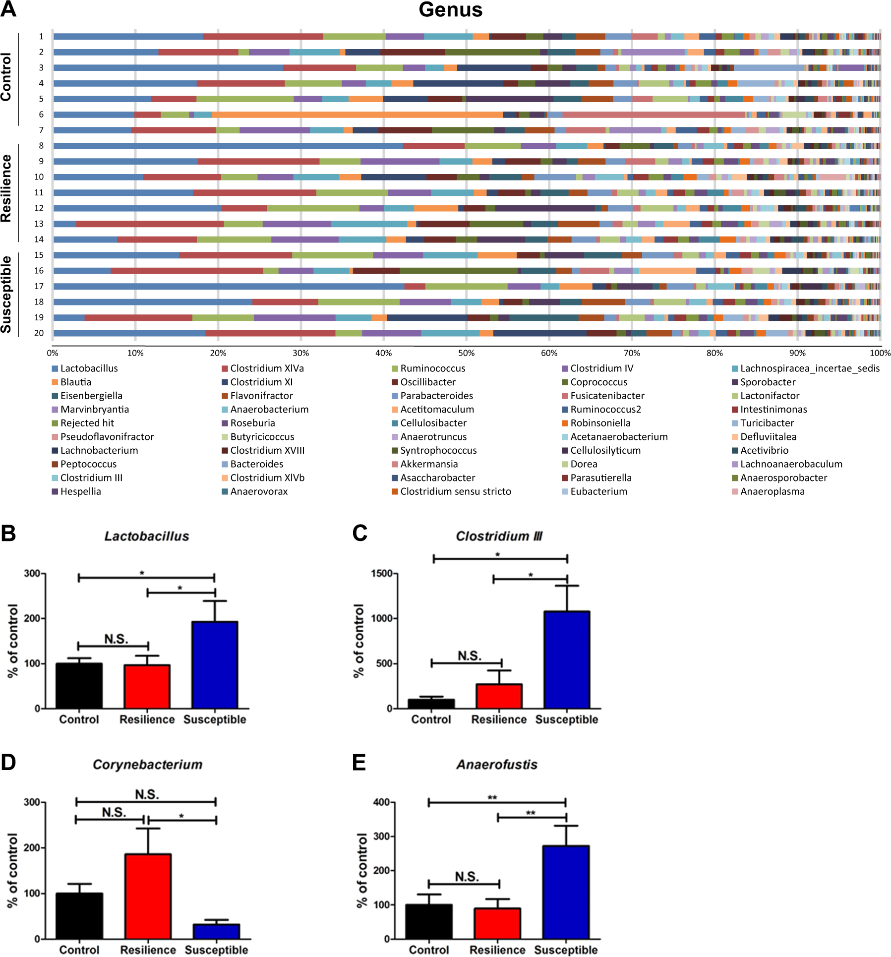 Fig. 4: Changes in the composition of gut microbiota at the genus level.