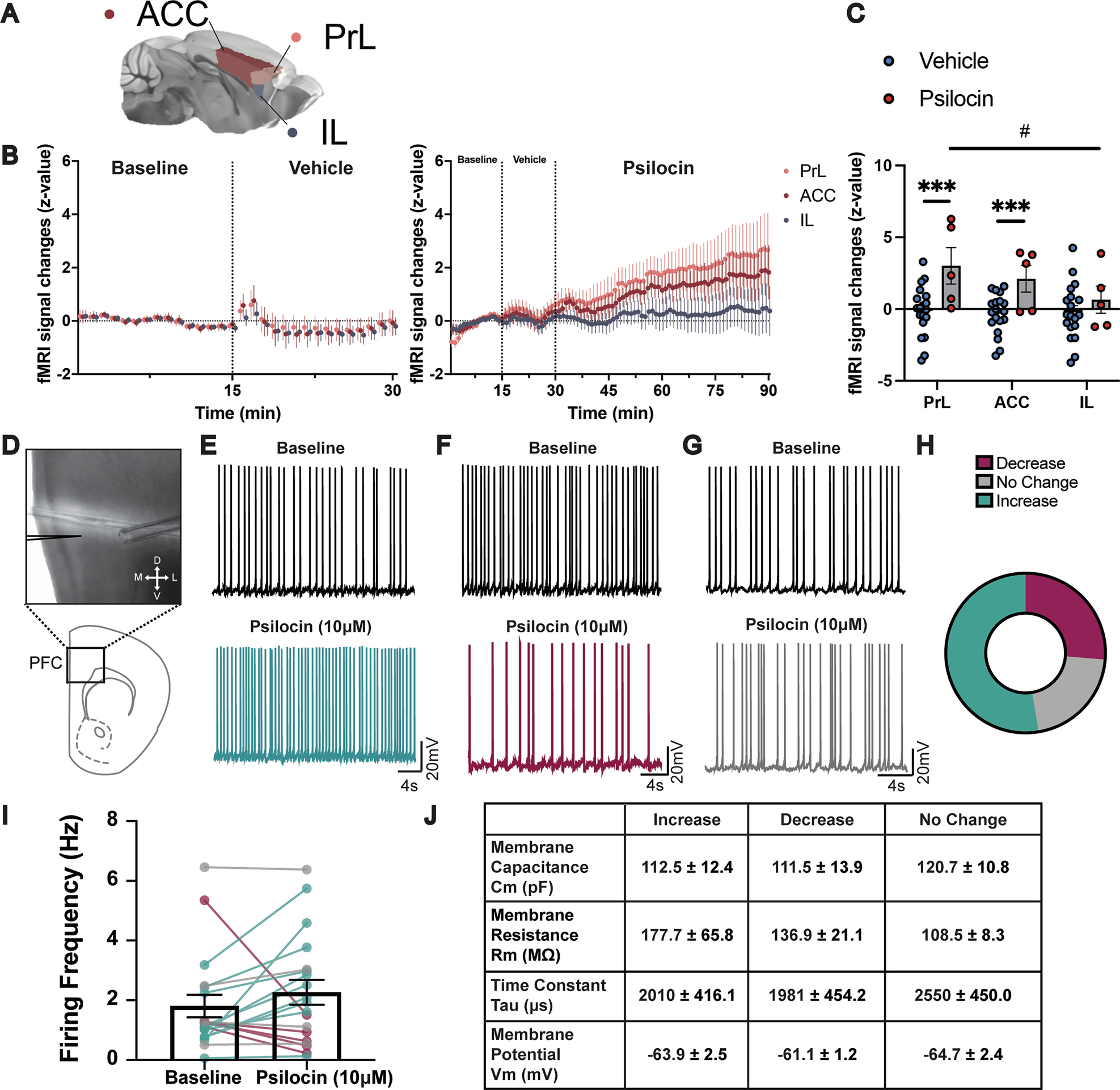 Fig. 1: Psilocin effects in medial prefrontal cortex and on layer 5 pyramidal neurons from C57B6/J mice.