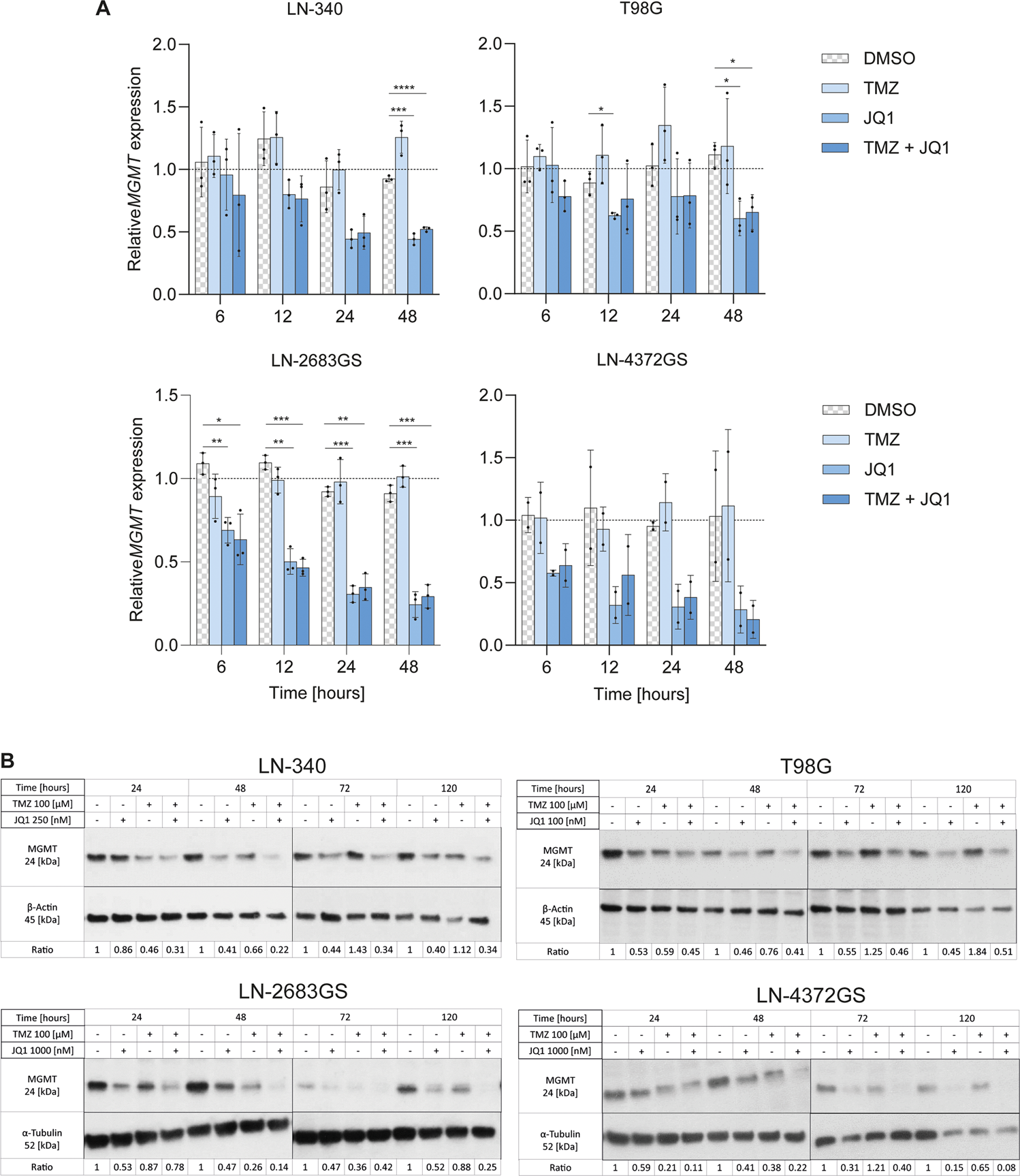 Fig. 2: BET protein inhibition reduces MGMT expression in GBM.