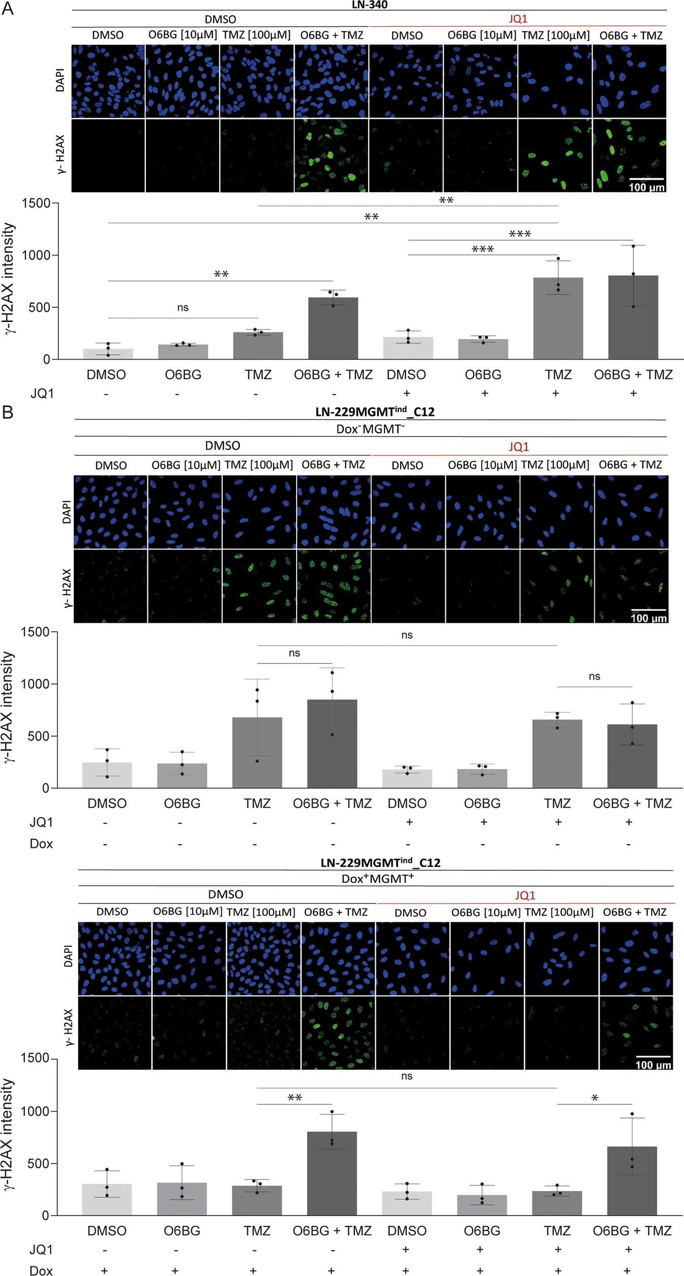 Fig. 4: JQ1 modulates repair of TMZ-induced DNA damage.
