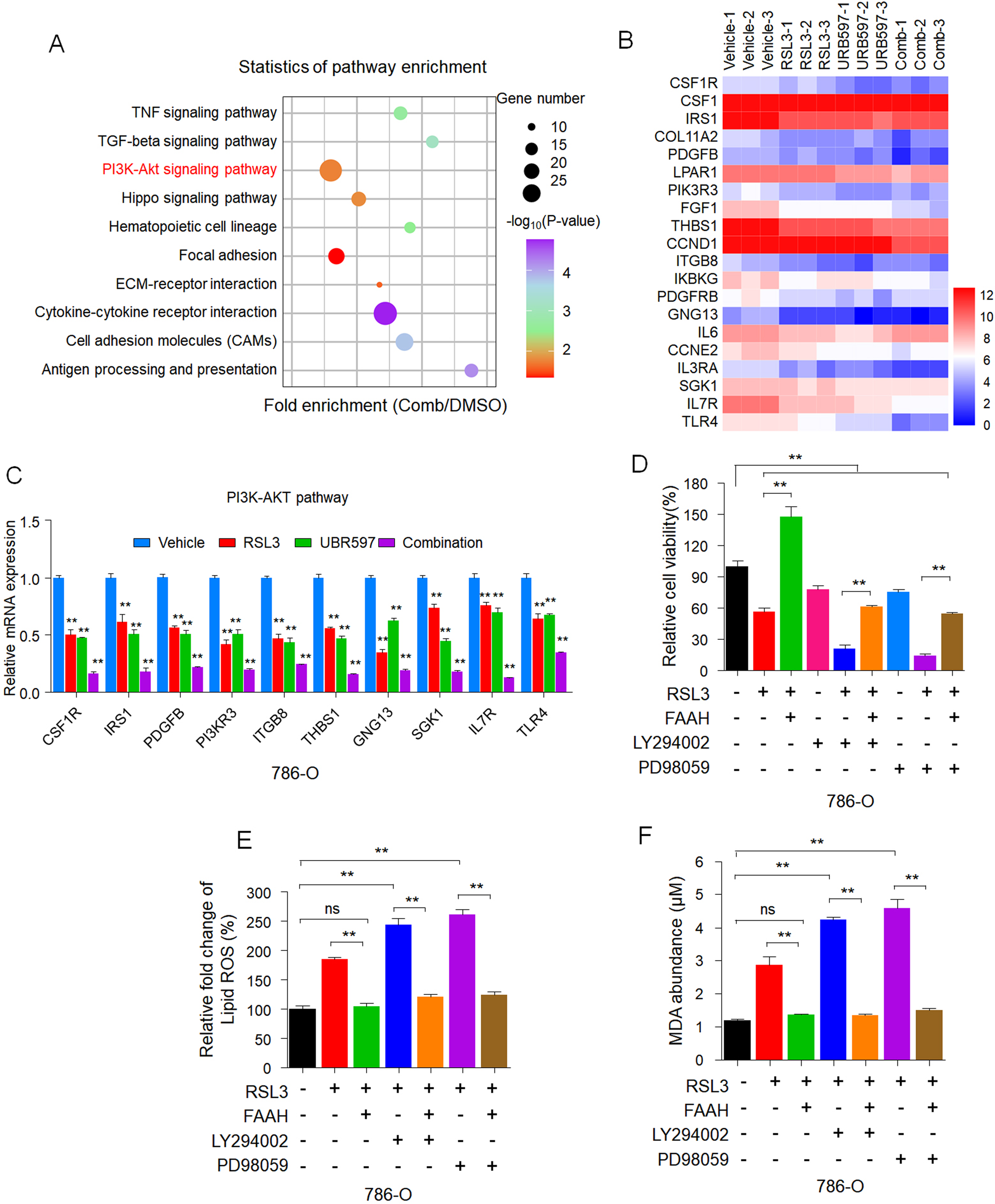 Fig. 6: RNA-Seq reveals inhibition of FAAH-regulated sensitivity to ferroptosis via the PI3K-AKT pathway.