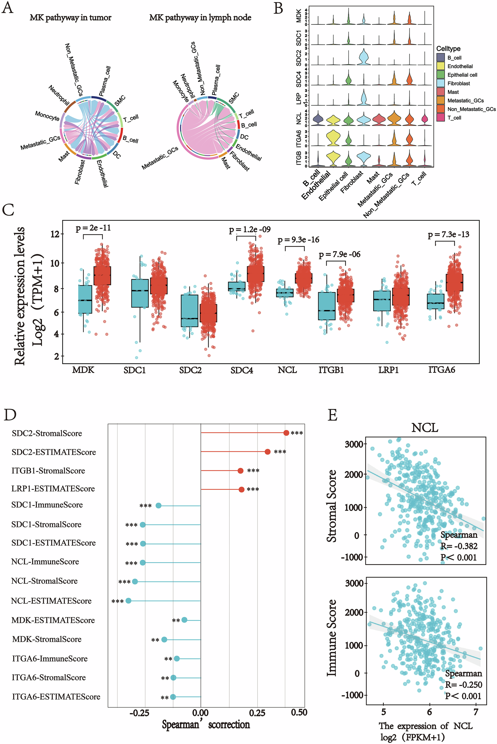 Fig. 6: Expression of the Eight Genes Involved in the MK Signaling Network.