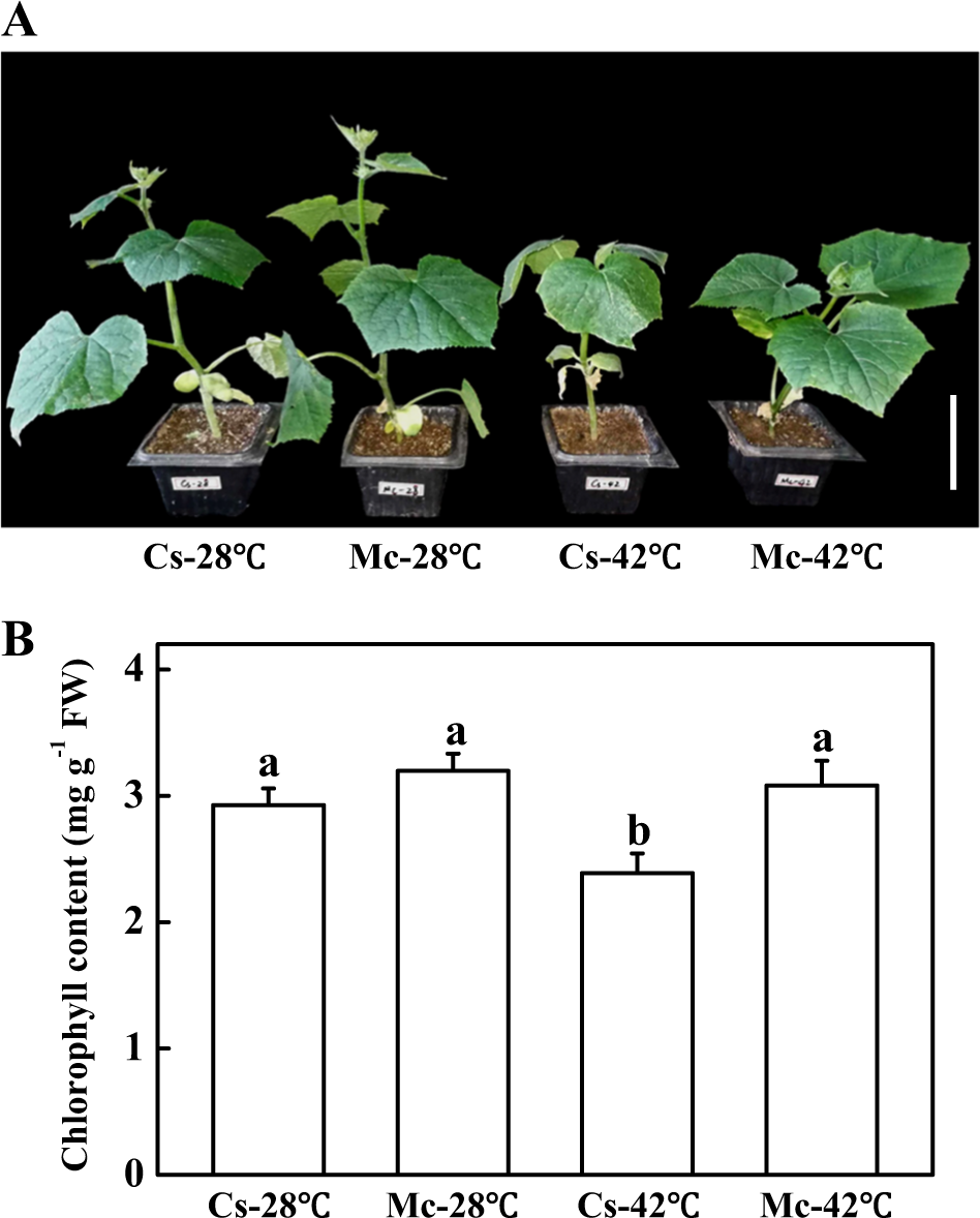 Fig. 1: The effects of heat stress on plant growth.