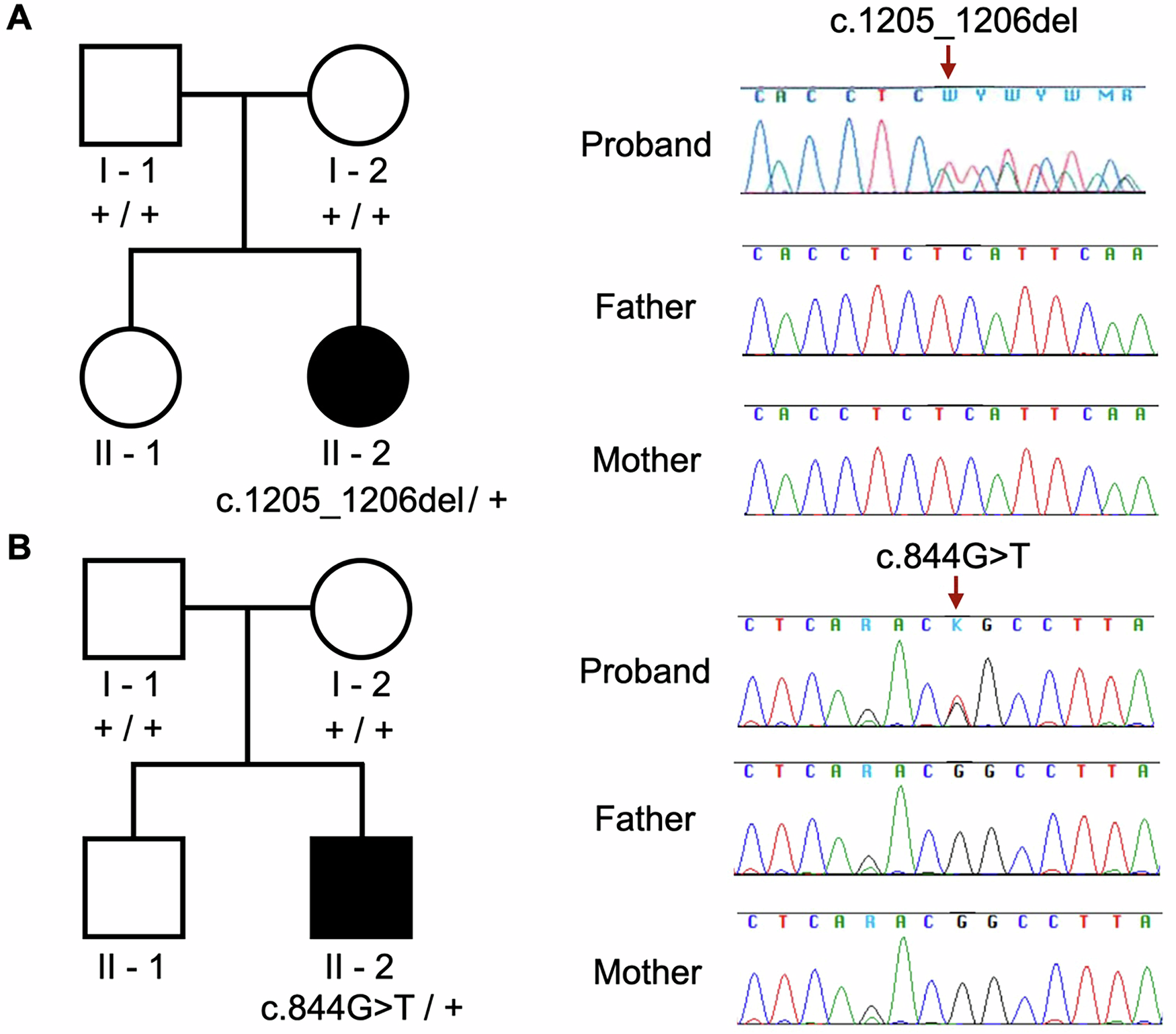 Fig. 2: Novel RARB genetic variants in the patients.