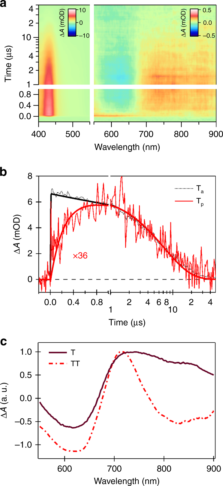 Fig. 4