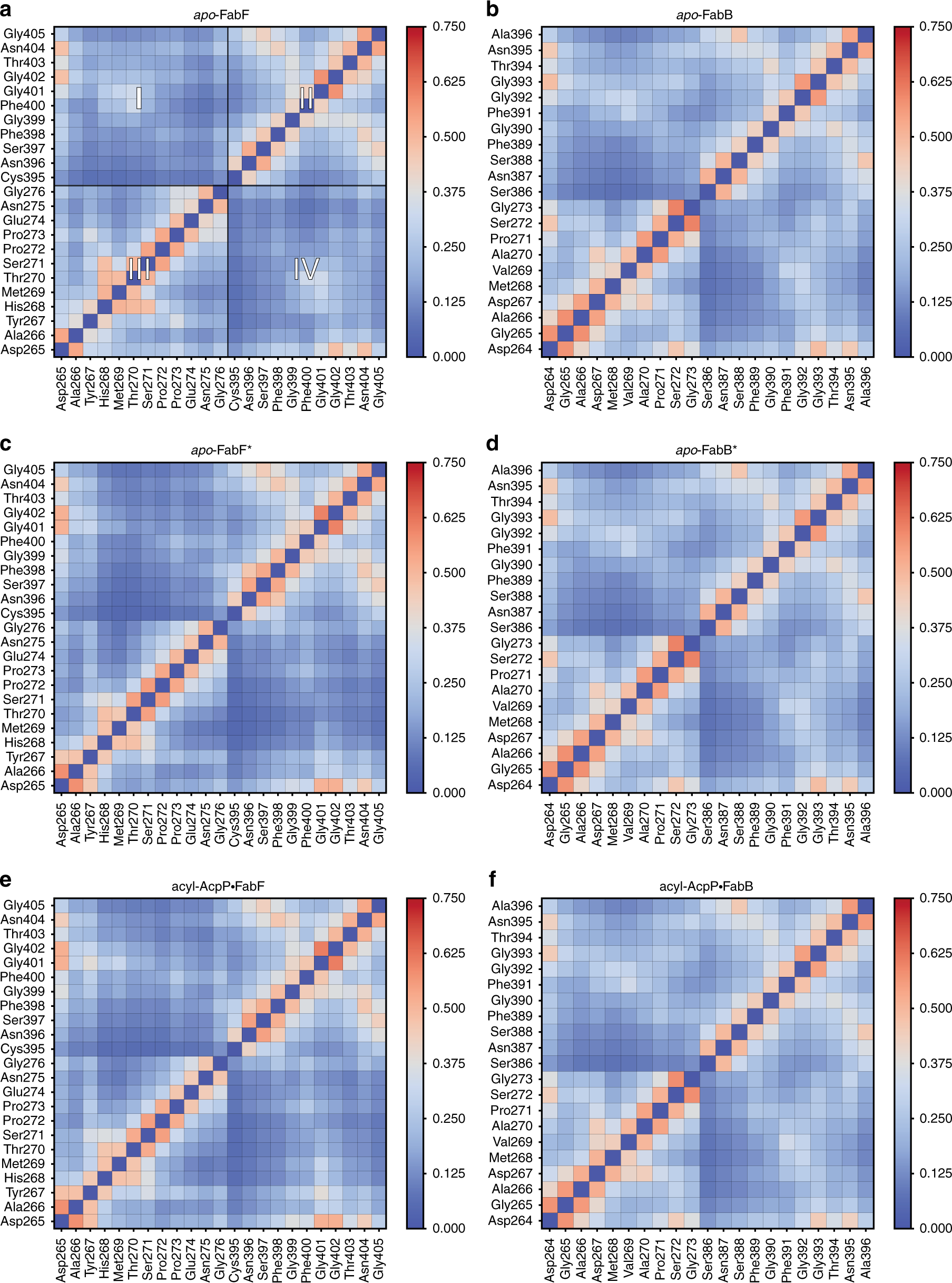 Fig. 8: Average cross correlations of the motions of key loop 1 and 2 residues sampled computationally.