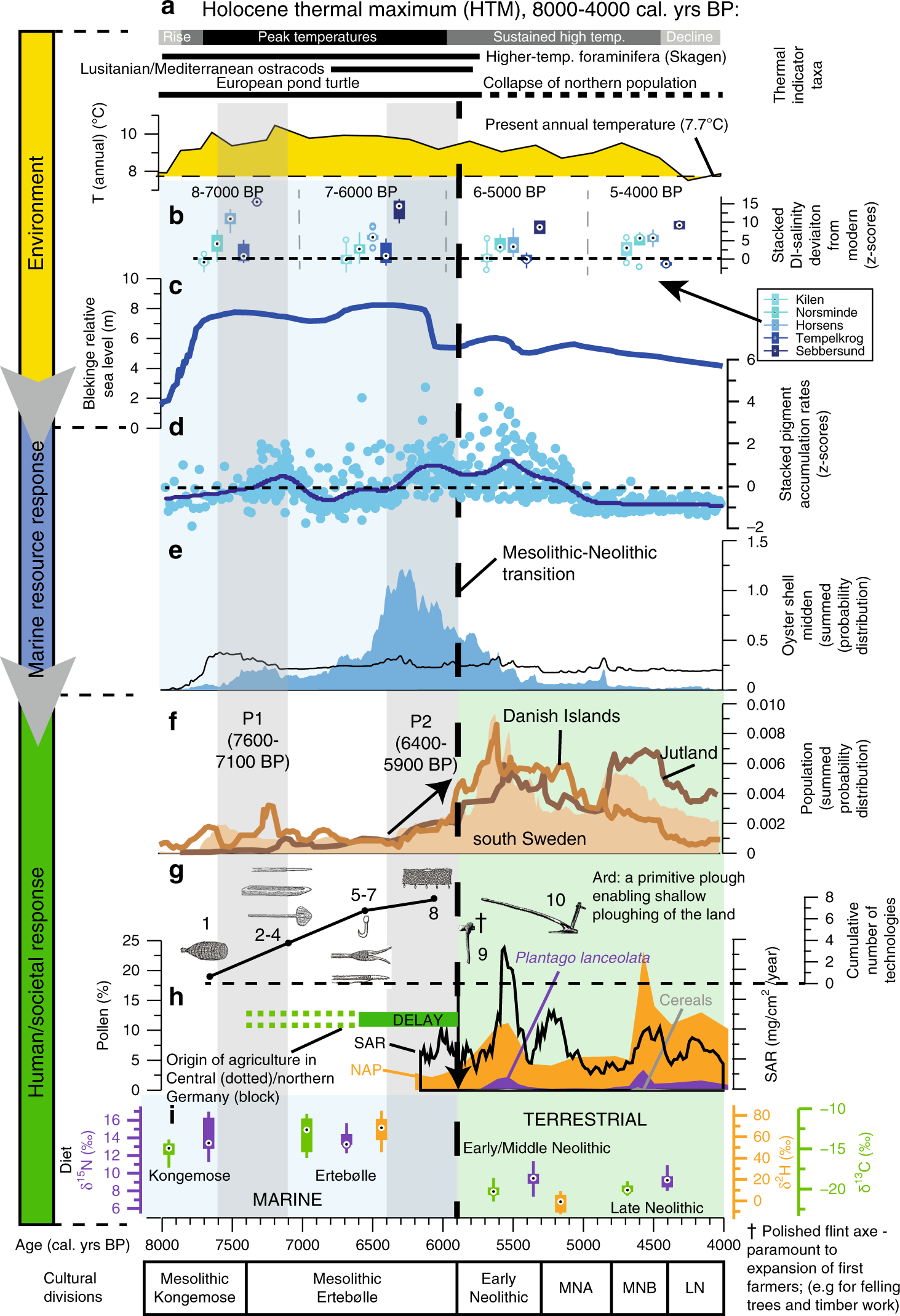 Fig. 2: Southern Scandinavian regional climate, sea level and coastal environment during the Holocene thermal maximum and human response.