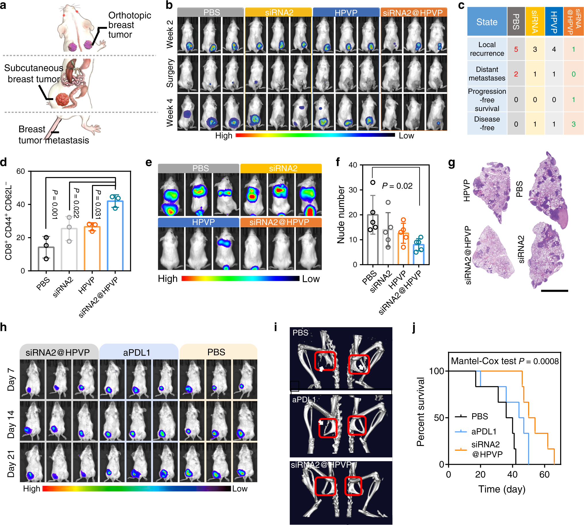 Fig. 5: Therapeutic effect in resectable and unresectable tumor models.