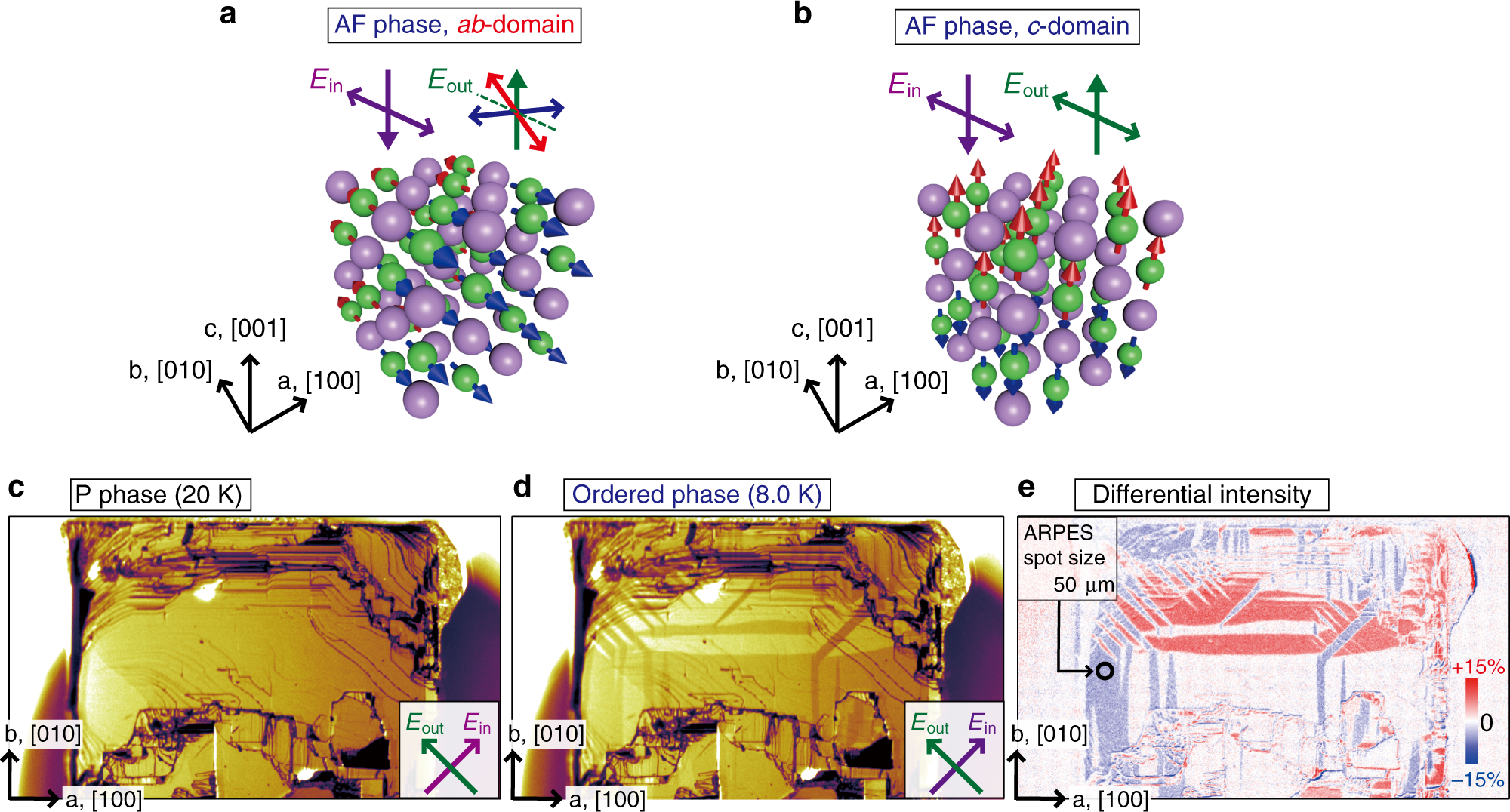 Fig. 2: Polarizing microscope images of CeSb.