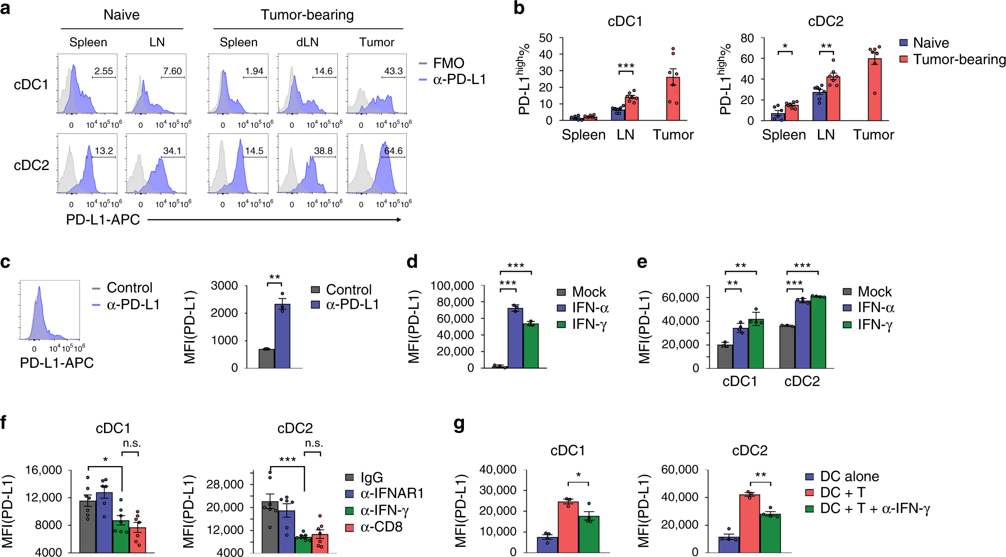 Fig. 3: PD-L1 on DCs is upregulated by IFN-γ and T cells in tumor microenvironment.