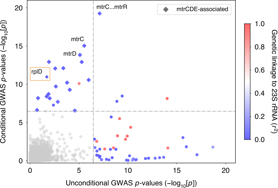 Fig. 1: GWAS conditional on 23S rRNA mutations and dataset demonstrates decreased confounding and increased power.