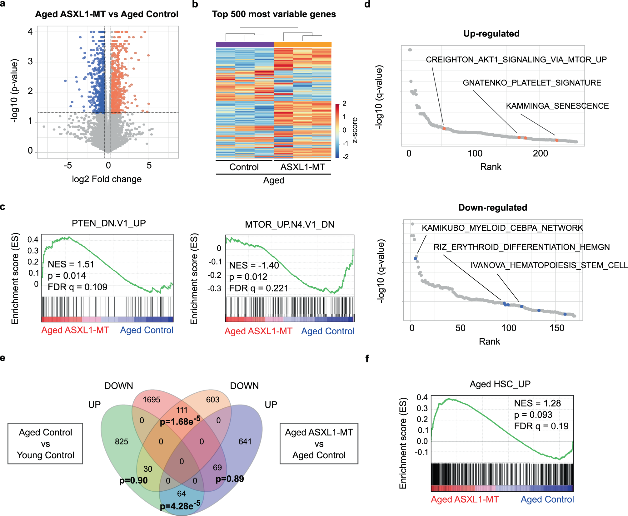 Fig. 10: ASXL1-MT enforces age-associated gene expression patterns.