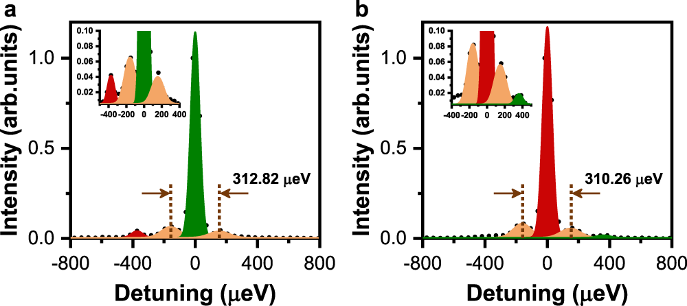 Fig. 4: Size-quantized acoustic phonons in a single CsPbI3 NC.