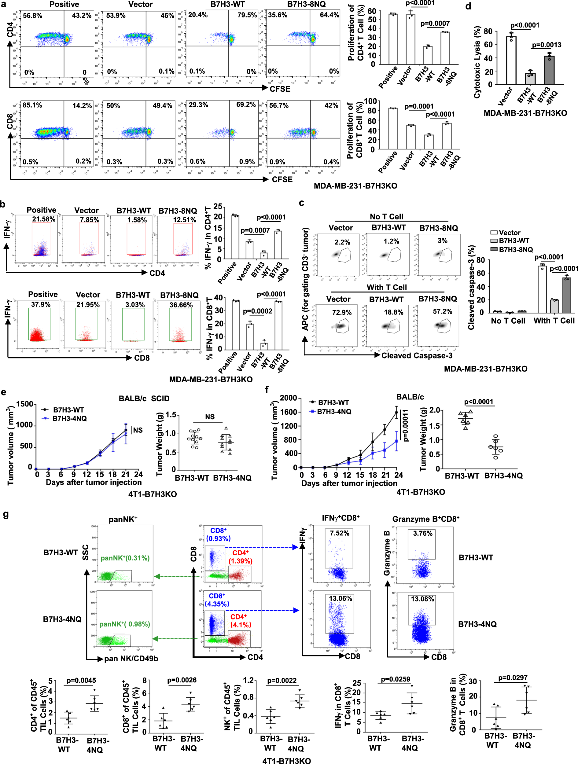 Fig. 4: N-glycosylation of B7H3 inhibits immune responses in TNBC cells.