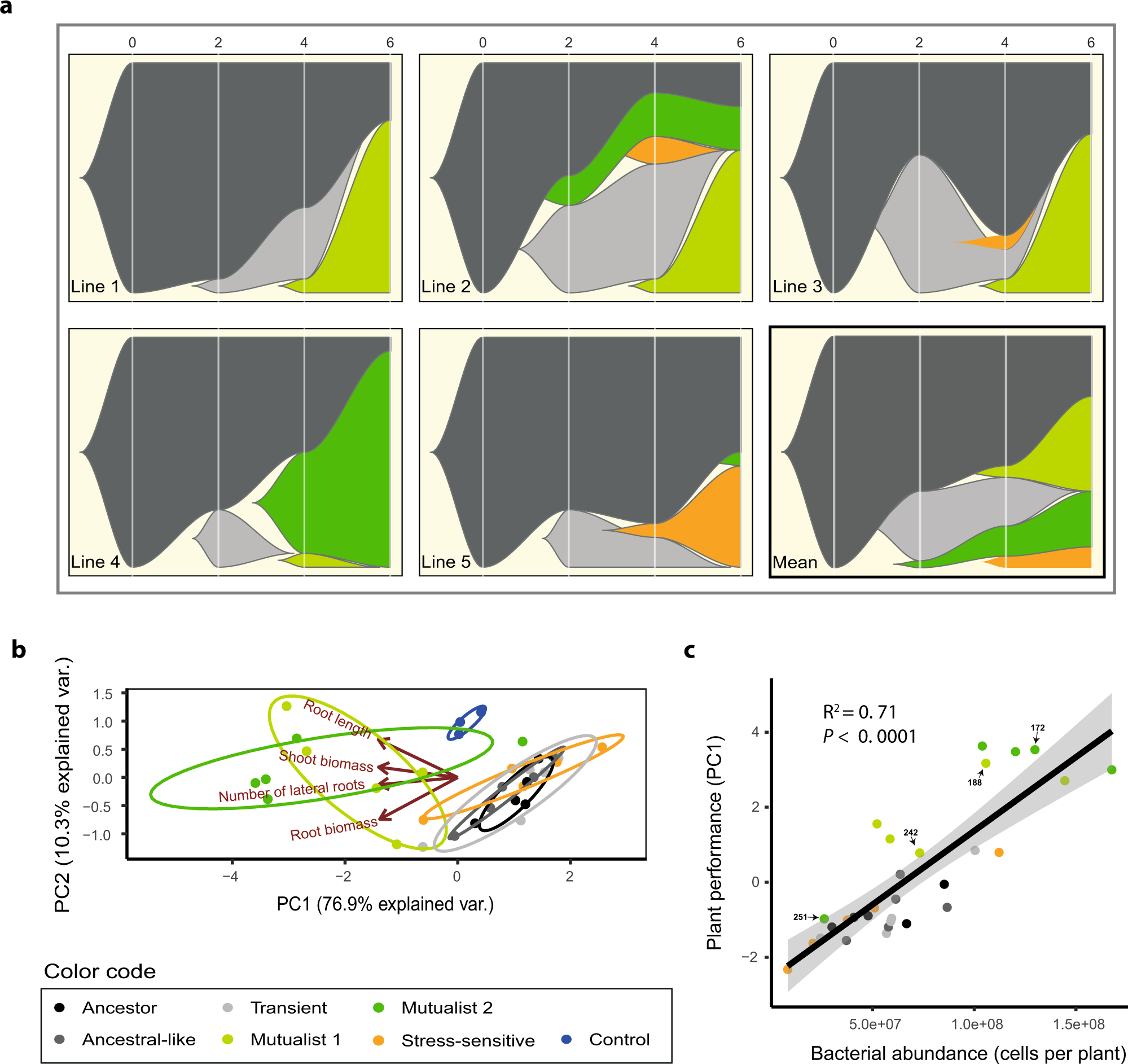 Fig. 2: Temporal changes in bacterial phenotypes during the selection experiment and positive correlation between evolved bacteria and plant growth.