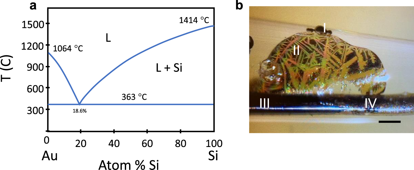 Fig. 9: Gold in silicon allows recrystallisation at reduced temperatures.