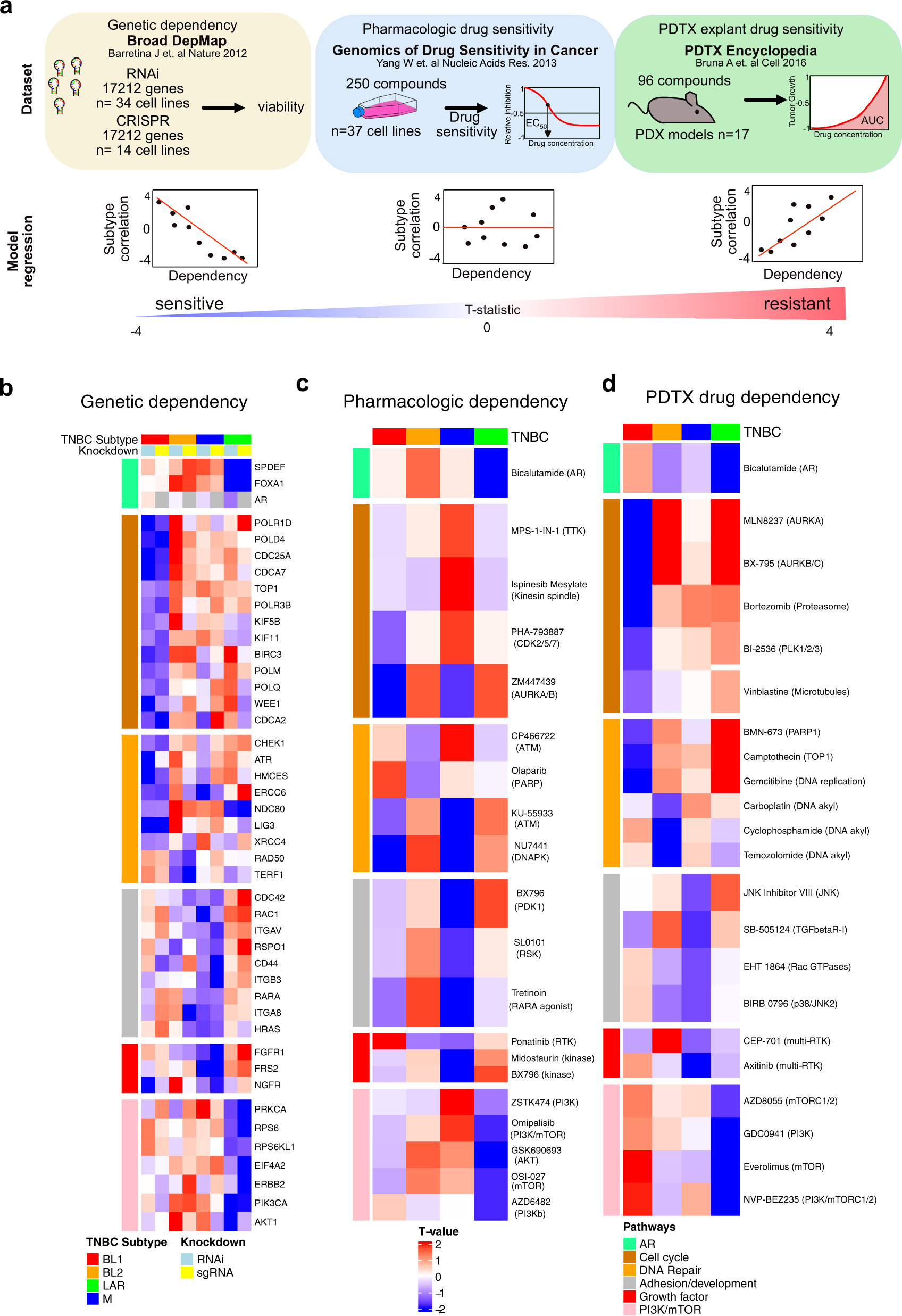 Fig. 3: In silico analyses of datasets from genetic and pharmacologic screens identifies subtype-specific vulnerabilities in TNBC.