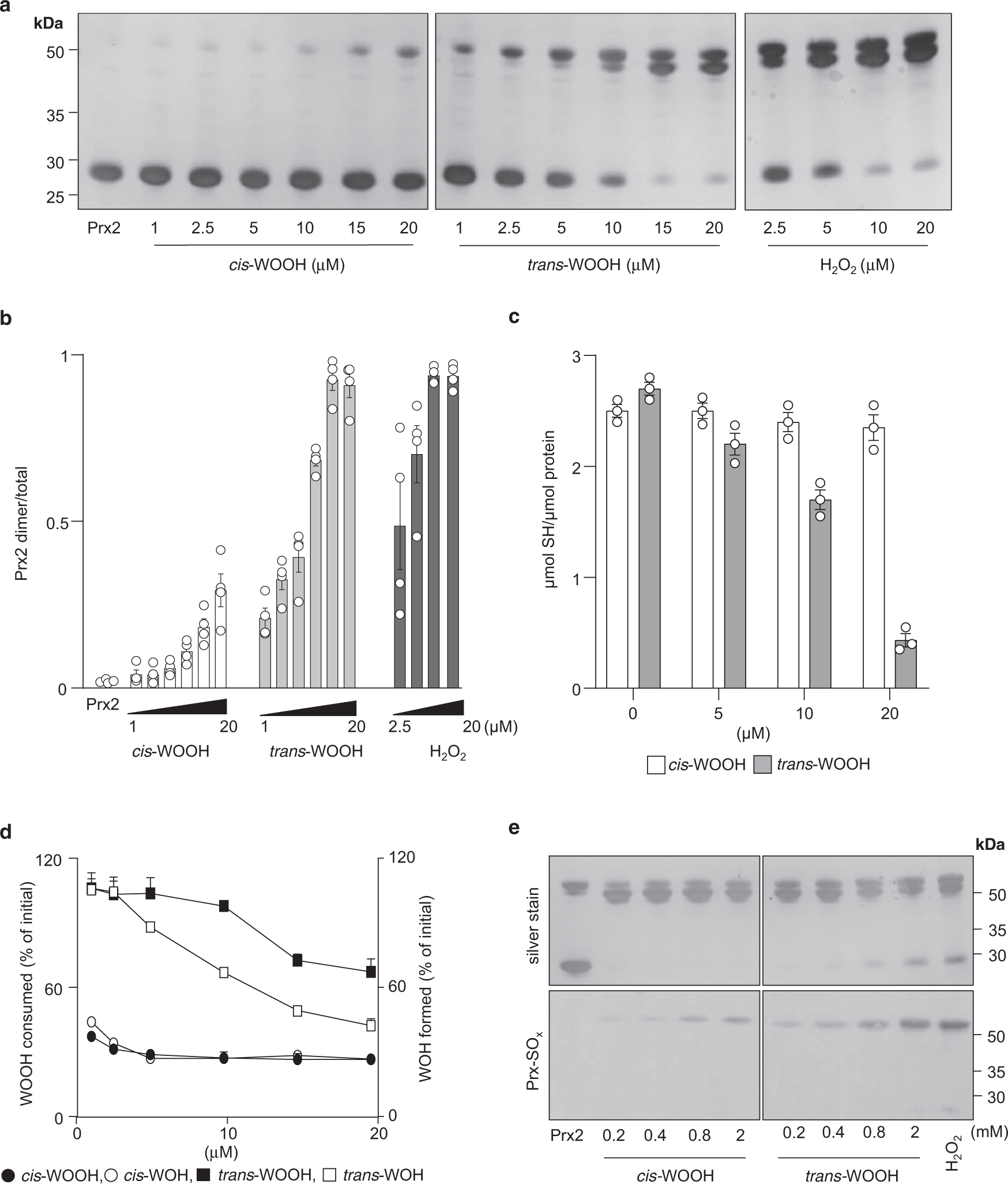 Fig. 4: Differences in dimerization, thiol, and hydroperoxide consumption during the reaction of Prx2 with cis- versus trans-WOOH.