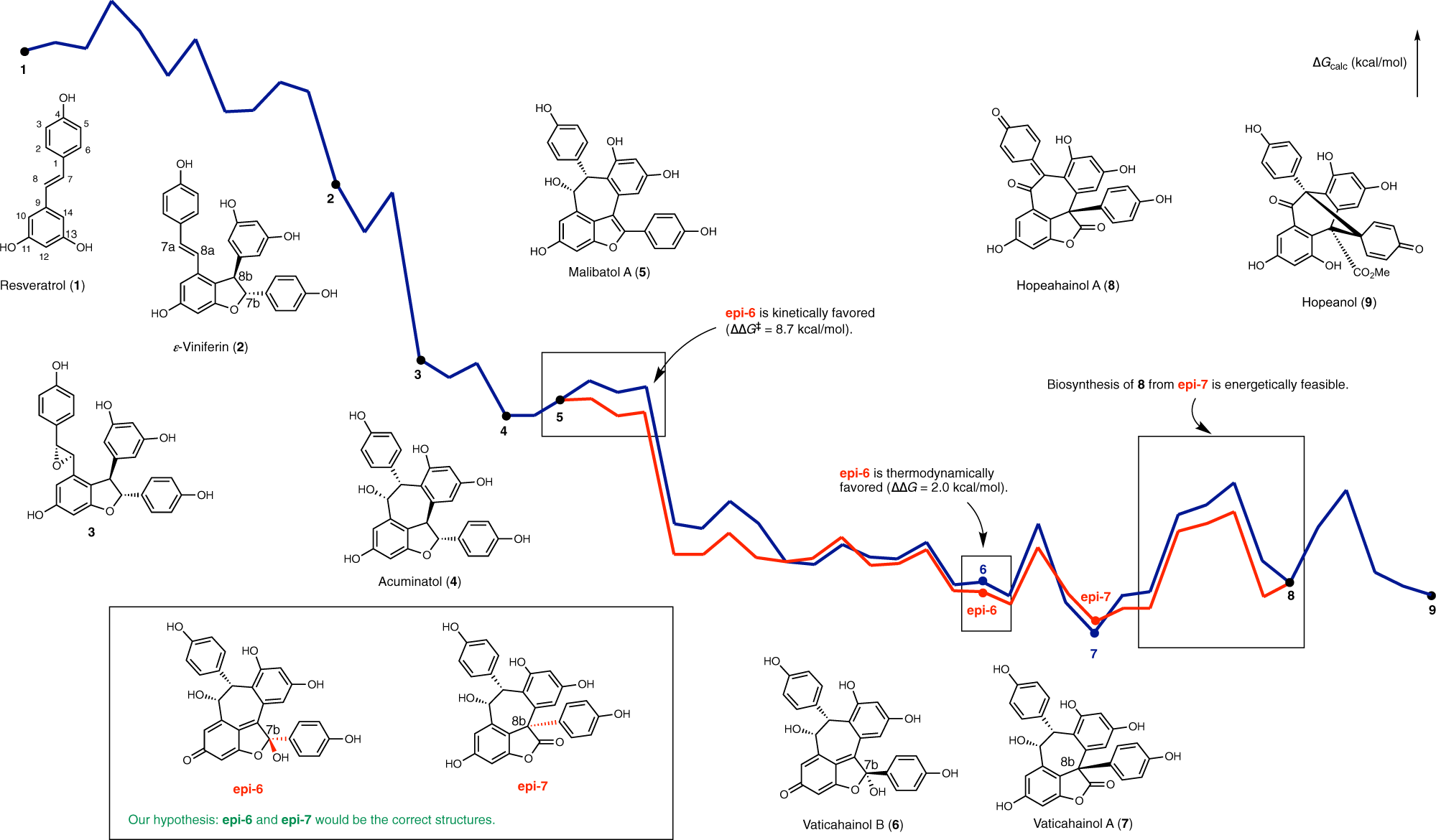 Fig. 1: Summary of the results obtained from DFT calculations.
