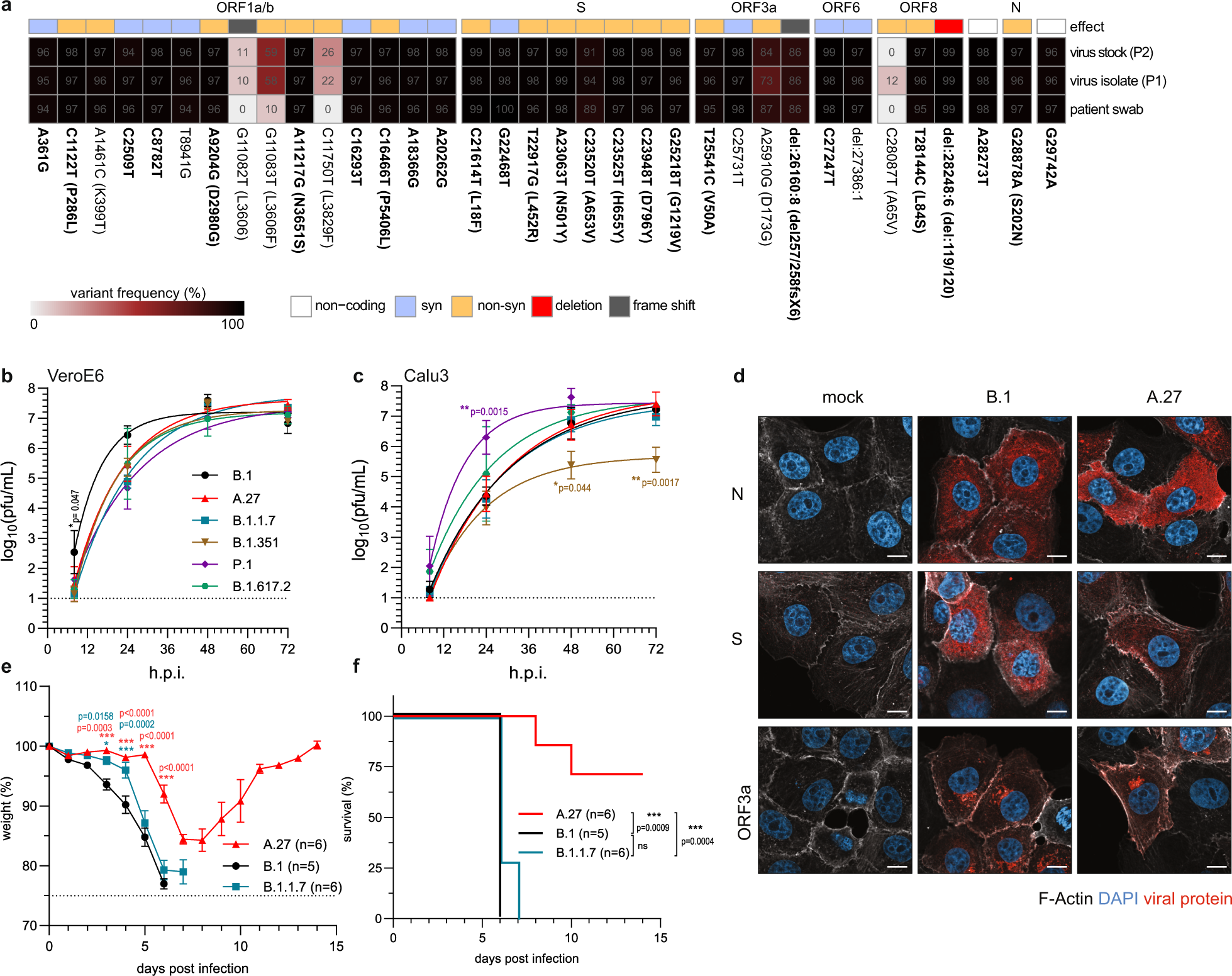 Fig. 5: A.27 Black Forest isolate displays all lineage-defining mutations and is attenuated in vivo.